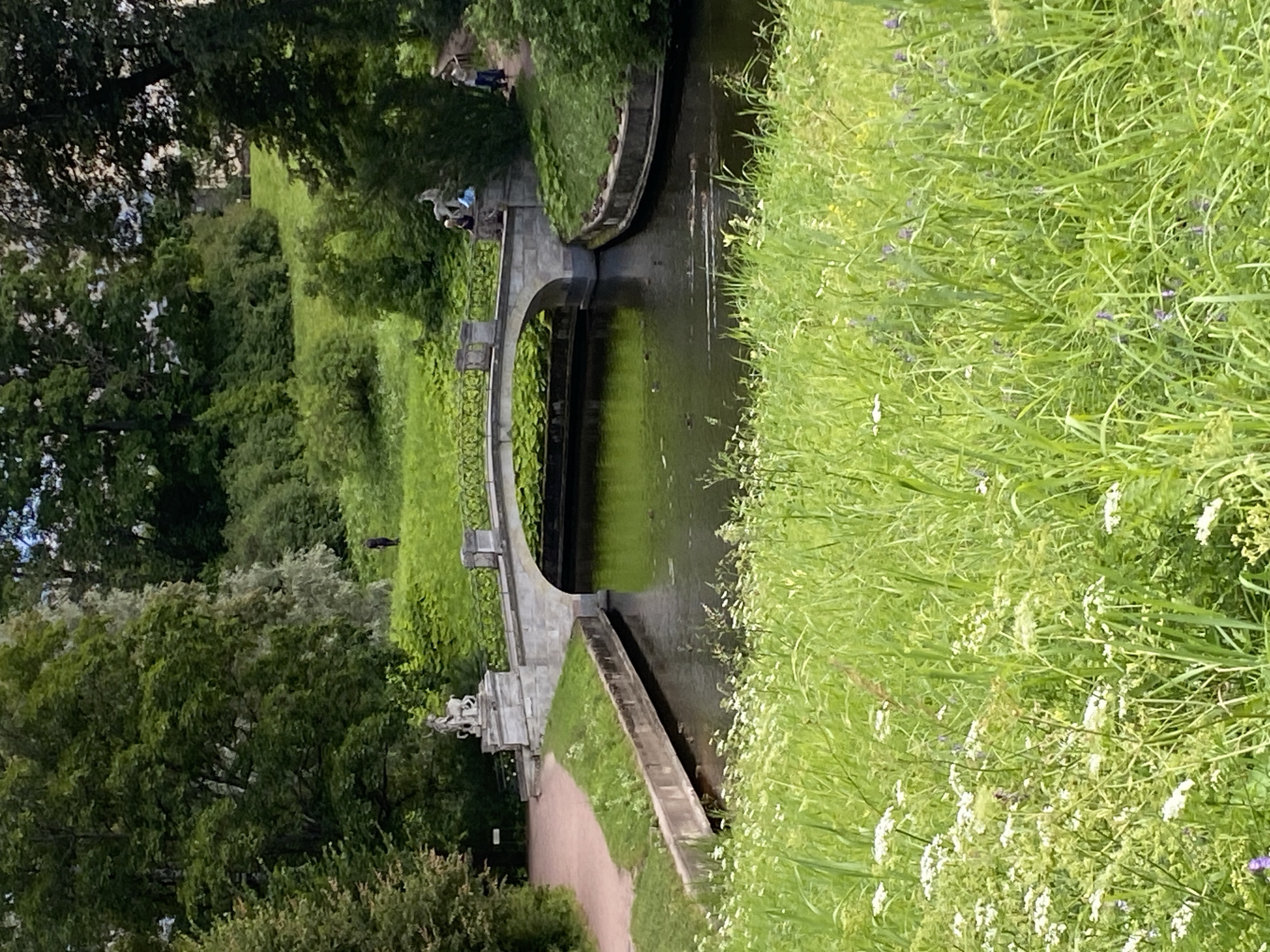 The image depicts a view of the Pavlovsk Park in Pavlovsk, Russia, specifically focusing on the Big Flower Garden. In the foreground, tall green grass and wildflowers, including white and purple blooms, dominate the scene. A dark, calm body of water, likely a canal or river, flows through the mid-ground. A stone bridge with ornate metal railings spans the water. On the bridge's left side, a sculpture of a figure with a deer or horse stands atop a stone pedestal. Several individuals are visible on and around the bridge: two figures appear to be standing on the bridge's embankment on the right side, and a group of three figures is seated or standing near the sculpture on the left. Further in the background, a person is walking on a path uphill amidst lush green trees and rolling grassy hills, characteristic of the park's landscape. The overall impression is one of a serene, natural park setting with classical architectural elements.