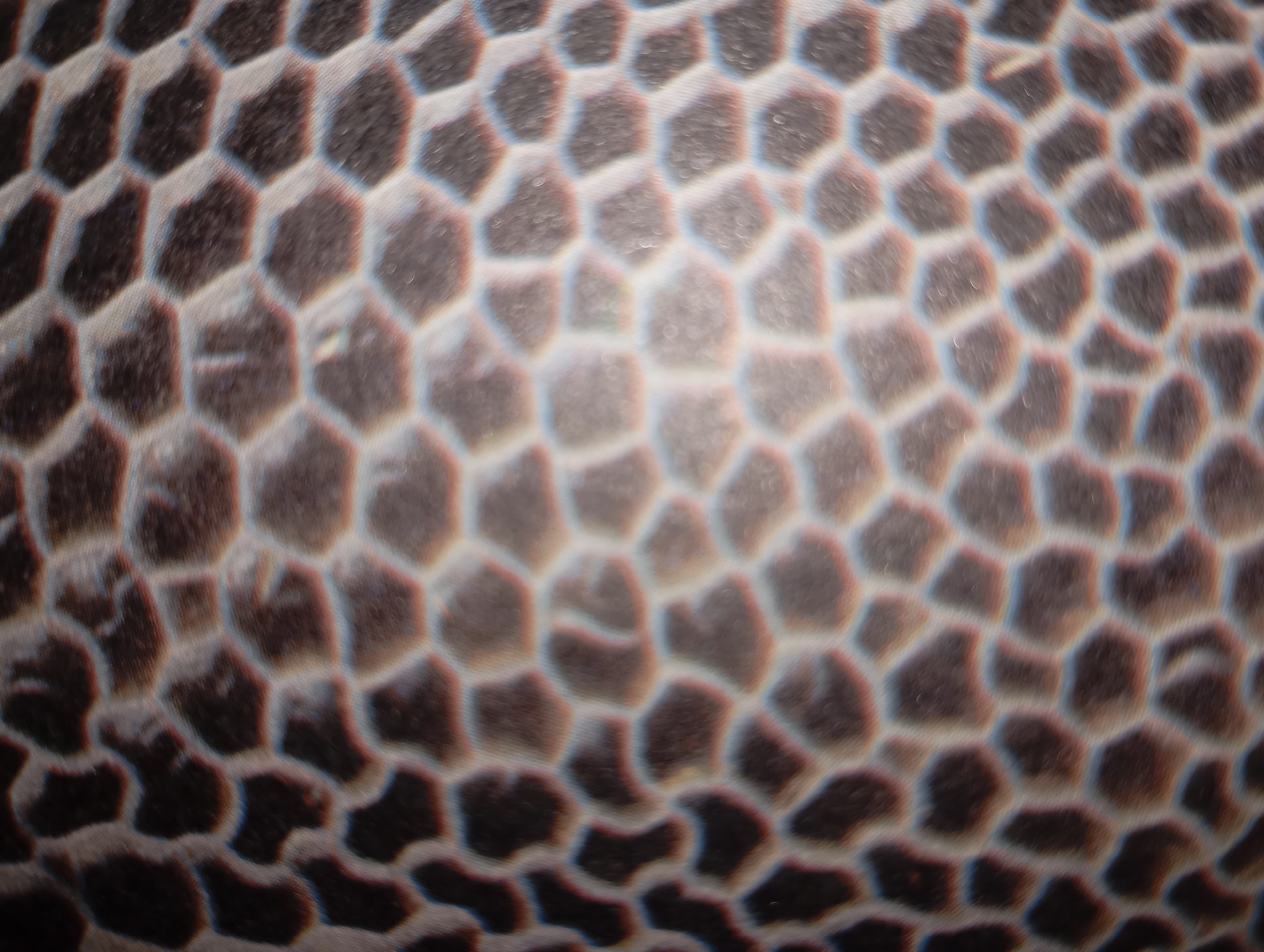 The image displays a close-up, abstract view of a textured surface. The pattern consists of irregular, interlocking hexagonal or polygonal shapes, with some appearing more rounded than others. The shapes are differentiated by contrasting colors, primarily dark brown or black against a lighter, off-white or light gray background. There is a subtle sheen or reflectivity on the surface, creating highlights and emphasizing the contours of the shapes. The lighting appears to be creating a slight chromatic aberration, with faint red and blue fringes visible around some of the edges. The overall impression is of a detailed, organic-looking texture, possibly of a natural material or an embossed pattern. There is no discernible location in the city of Mansehra, Pakistan, or any people, actions, or interactions depicted in this image.