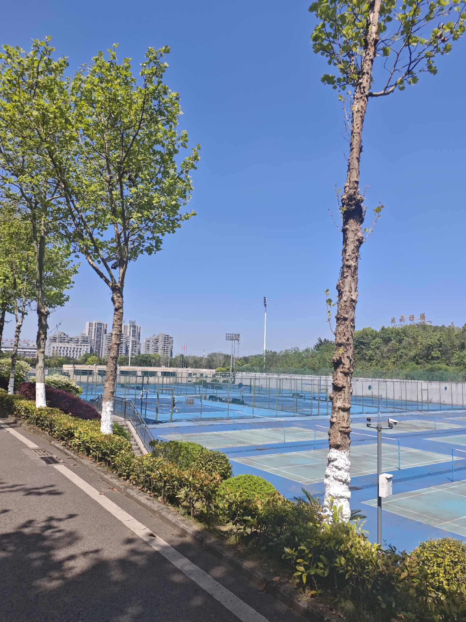 The image shows a series of blue tennis courts located in Chongqing High-tech Zone, China. The courts are surrounded by green bushes and trees, some of which have their trunks painted white. A gray asphalt path runs alongside the courts. In the background, there are buildings, a grassy area, and trees. The sky is clear and blue. There are no people visible on the courts. A security camera is mounted on a pole near one of the trees.