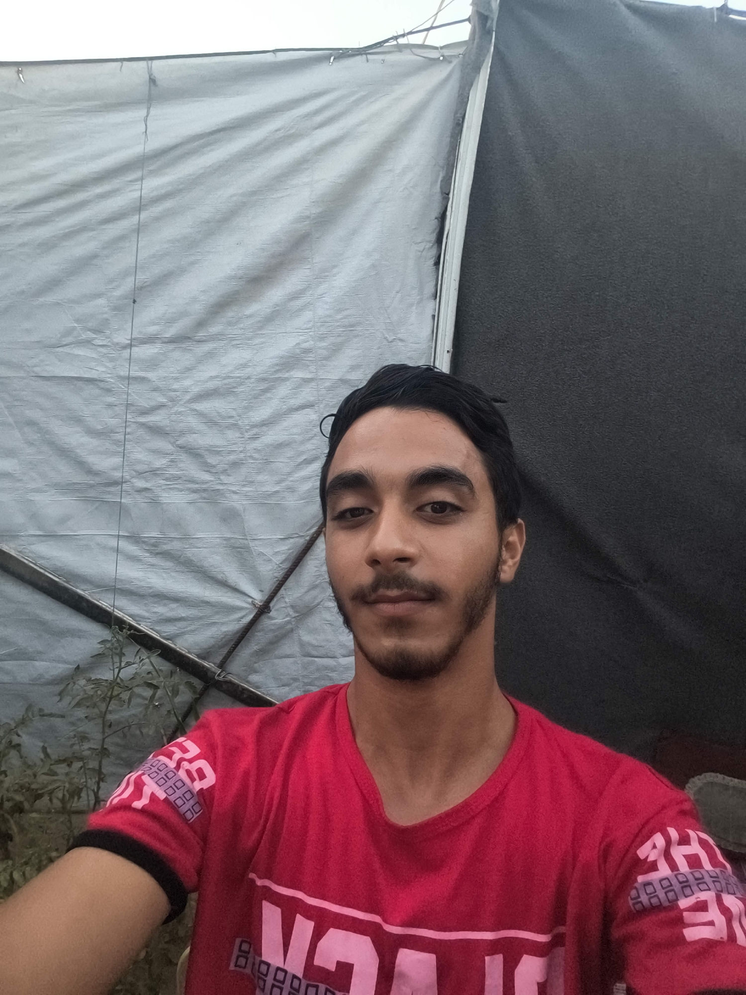 A medium shot shows a young man taking a selfie. He is wearing a bright red t-shirt with pink graphics on the sleeves and chest. He has dark hair, dark eyebrows, and a short beard and mustache. The background consists of two large tarps; one is gray and wrinkled, and the other is dark gray and textured. The man is positioned in the center of the frame, with his face slightly turned to the right. There are some plants visible in the lower left corner of the image, and the top of the frame shows a glimpse of the sky. The scene appears to be outdoors, possibly in an informal setting.