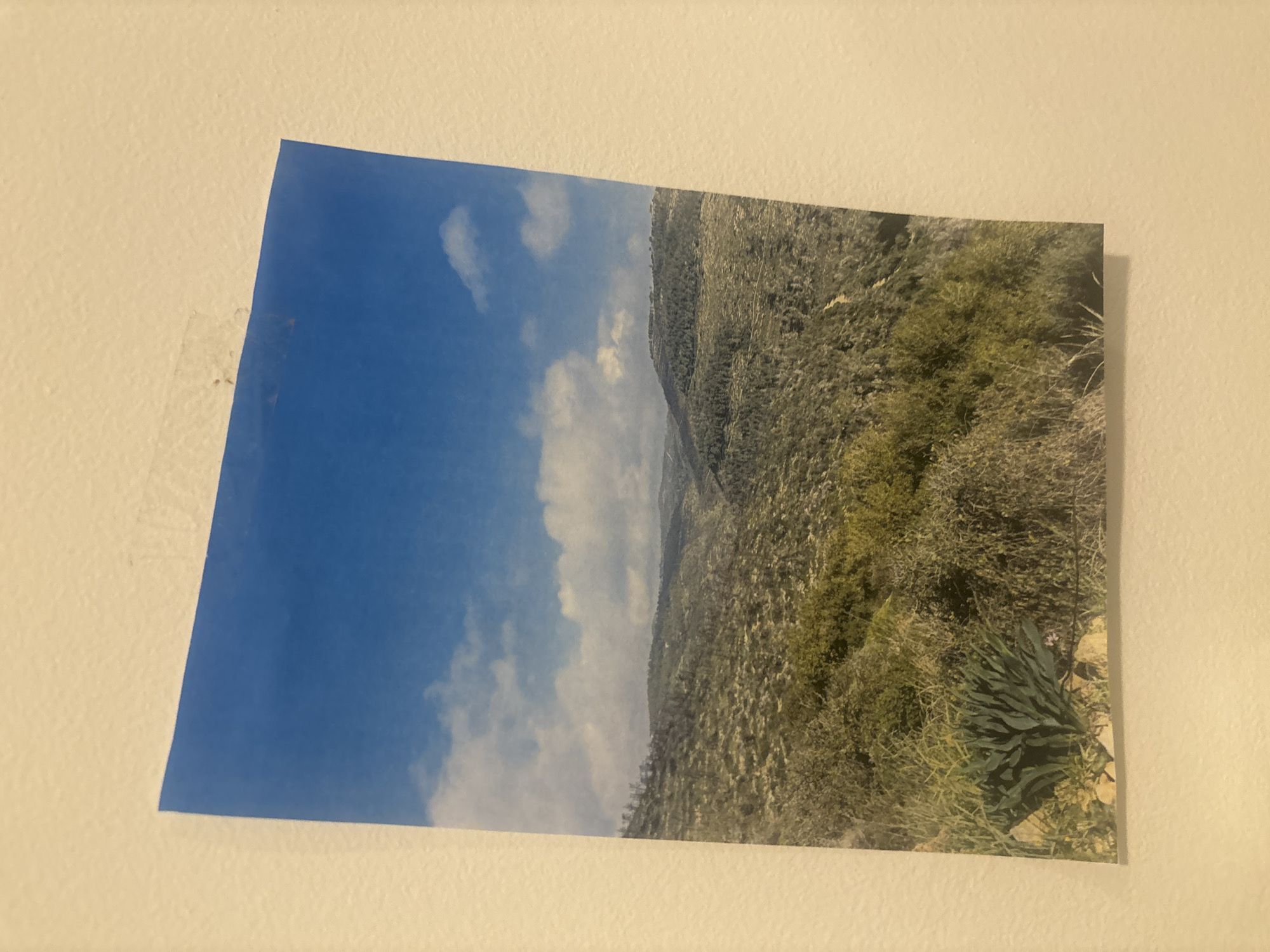 A landscape photograph is affixed to a wall. The photograph depicts a hillside covered in vegetation, beneath a blue sky with white clouds. The location is unknown; there is no verifiable information about it being in Givatayim, Israel. The wall is painted a light color. A small piece of tape or residue is visible near the top left corner of the photograph where it is attached to the wall.