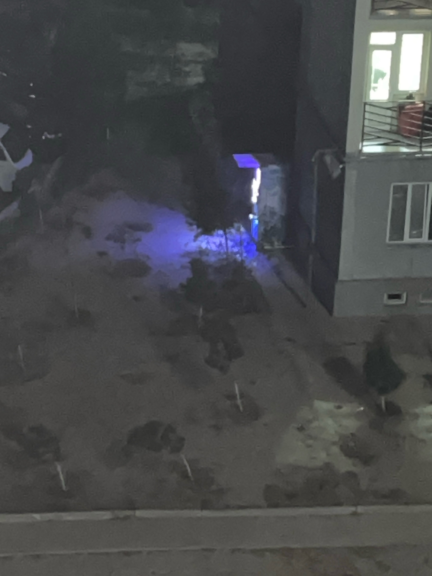 This image depicts an outdoor scene at night, likely in an urban environment within Fergana City, Uzbekistan. The foreground is dominated by a dark, uneven ground surface, possibly soil or gravel, with several thin, vertical white stakes or markers scattered across it. Some of these stakes appear to be illuminated by a faint blue light.
In the midground, there are darker, amorphous shapes that could be bushes or trees, some of which are also catching the blue light. A path or walkway is visible, illuminated by the same blue light source, which appears to originate from an opening or structure further back in the scene.
To the right of the image, a multi-story building is visible. The upper portion of the building features a balcony with a black metal railing and large windows. One window is illuminated from within, and a red object, possibly a piece of furniture or luggage, is visible on the balcony. Below this level, another window is visible, and a dark opening or doorway is present at the ground level. The building's facade appears to be a light gray color. The overall lighting suggests it is nighttime, with artificial lights creating the blue and interior illumination.