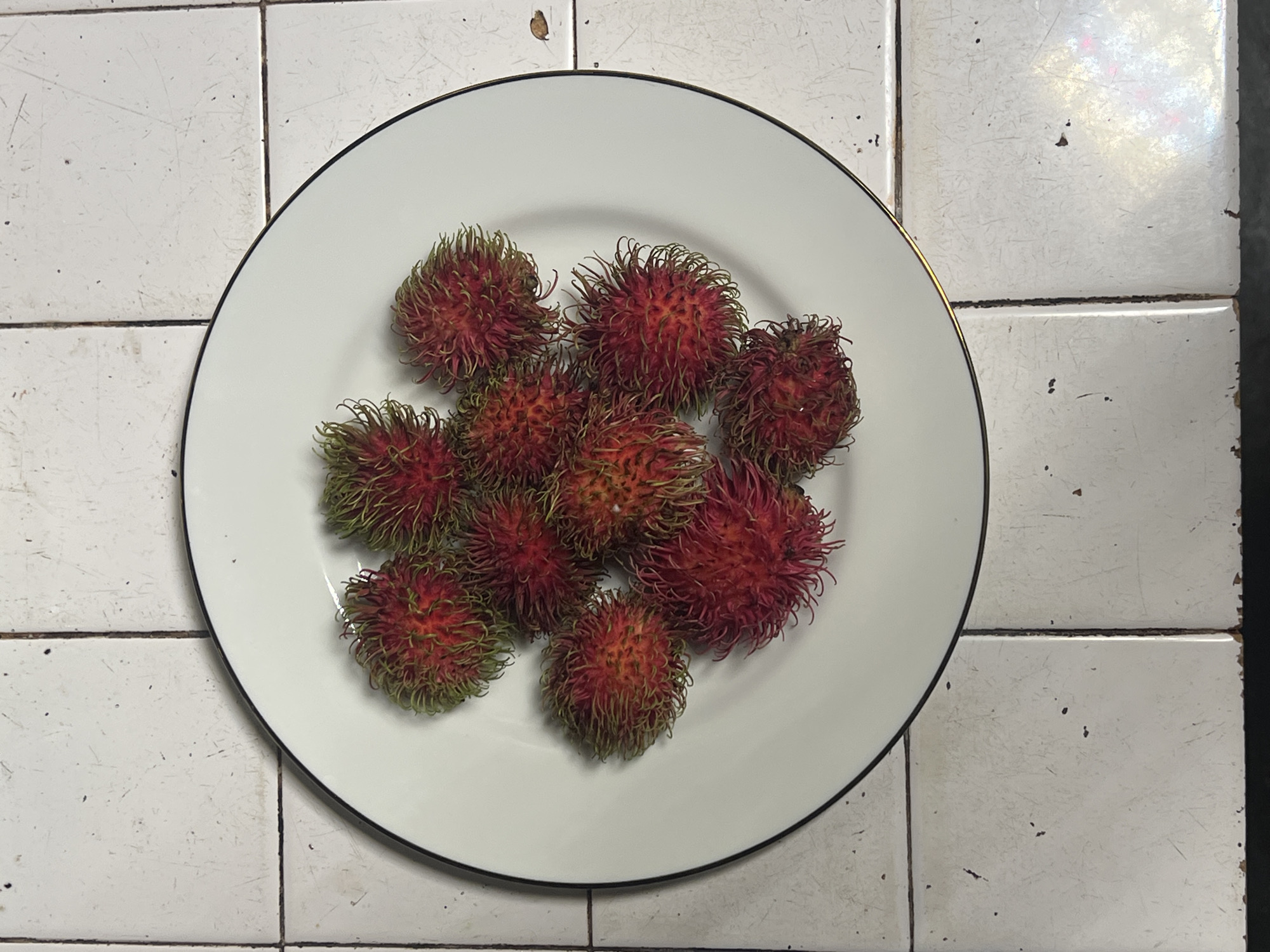 A white, circular plate with a thin black rim contains several red and green rambutans. The plate rests on a tiled surface, appearing to be a countertop or table with white square tiles outlined by dark grout. The tiles show some signs of wear and tear, with scuff marks and some dark specks. The lighting suggests an indoor setting. There are no people or animals present in the image.