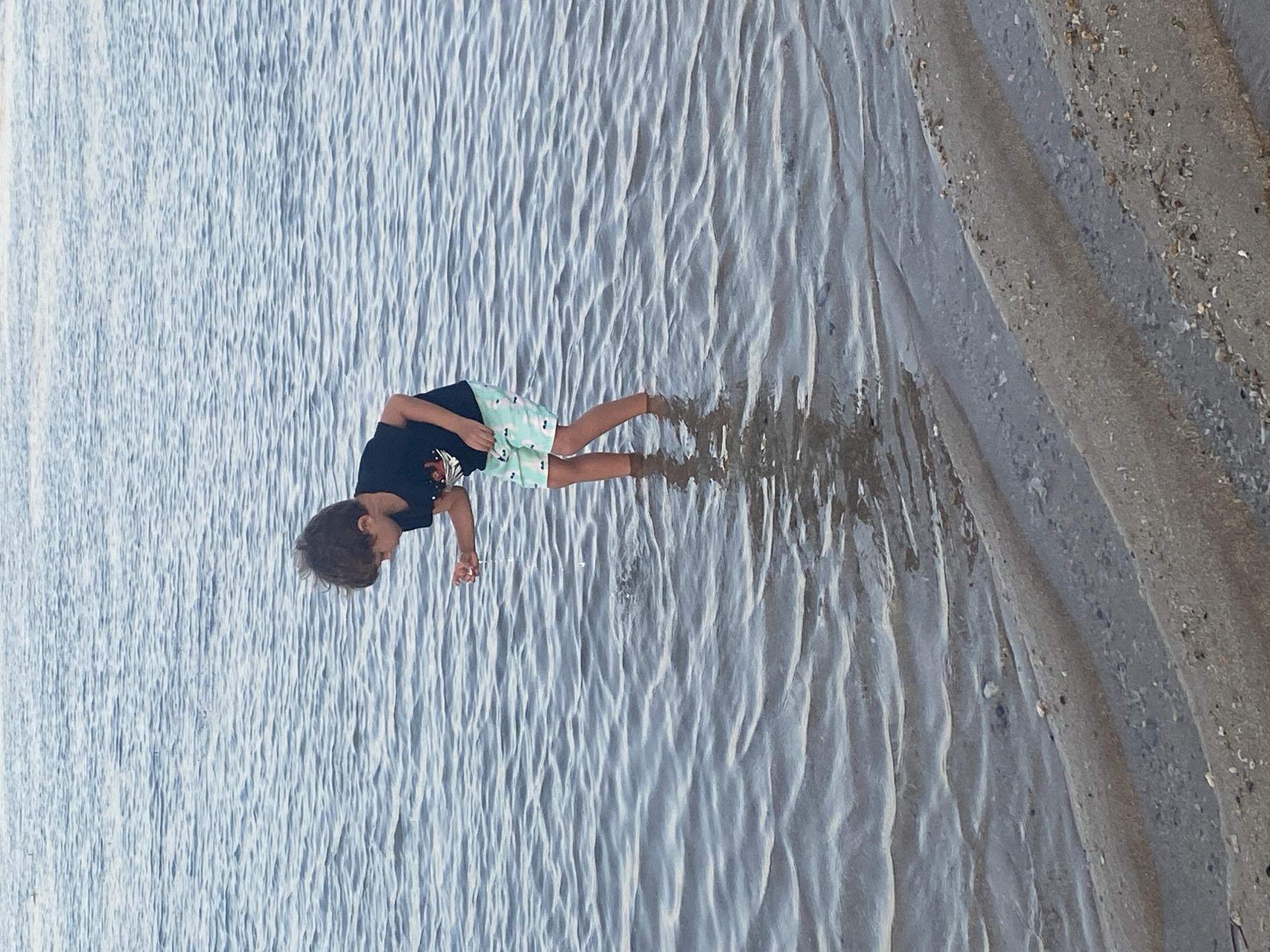 The image shows a young boy standing on a wet sandy beach. He is wearing a black t-shirt and light blue shorts with a pattern of white outlines of animals. The boy is bent over, looking down at something in the shallow water that surrounds his feet. His reflection is visible in the water, creating a mirrored image. The water is calm and has a rippled texture due to the gentle waves. The sand appears wet and dark where it is covered by water, and lighter further up the beach, with small pebbles and shells scattered on the surface. The scene suggests a sunny day, likely during daylight hours, with clear weather suitable for beach activities. The boy's posture and focus suggest he is engaged in an activity like searching for shells or small sea creatures. The overall impression is one of a peaceful moment at the beach.