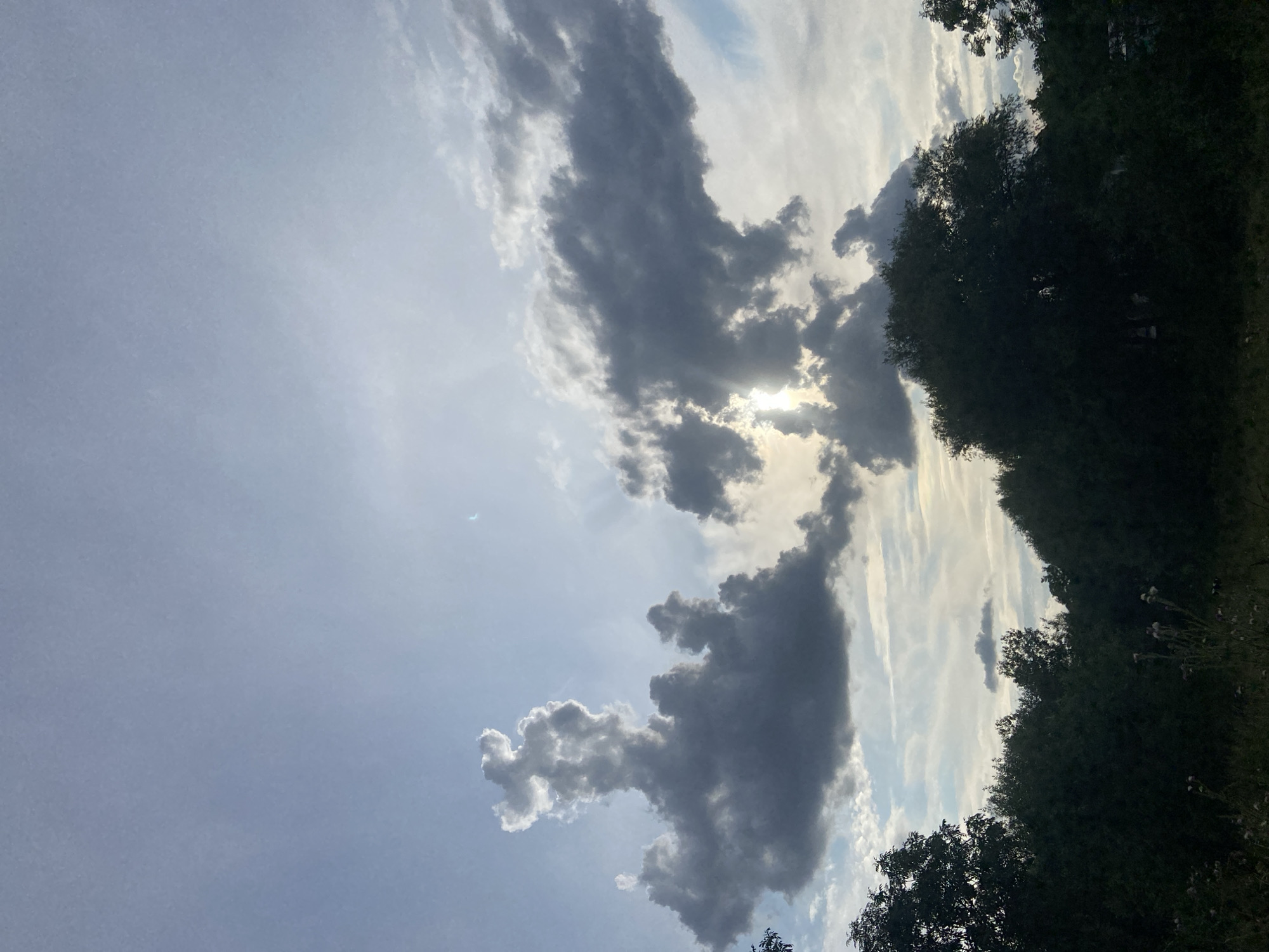 A vertical, eye-level, full shot captures the dramatic sky over a dark landscape of trees and vegetation. The sky is a mix of light blue and gray clouds, with sunlight breaking through in some areas. A few wispy clouds are present, some with bright white edges, suggesting sunlight hitting them from behind. The prominent, dark gray clouds in the middle left of the frame appear to be shaped like a mythical creature. The foreground is filled with silhouetted trees and bushes, with hints of dried plants and thorns. The overall lighting suggests it could be either early morning or late evening, with a soft, diffused light.