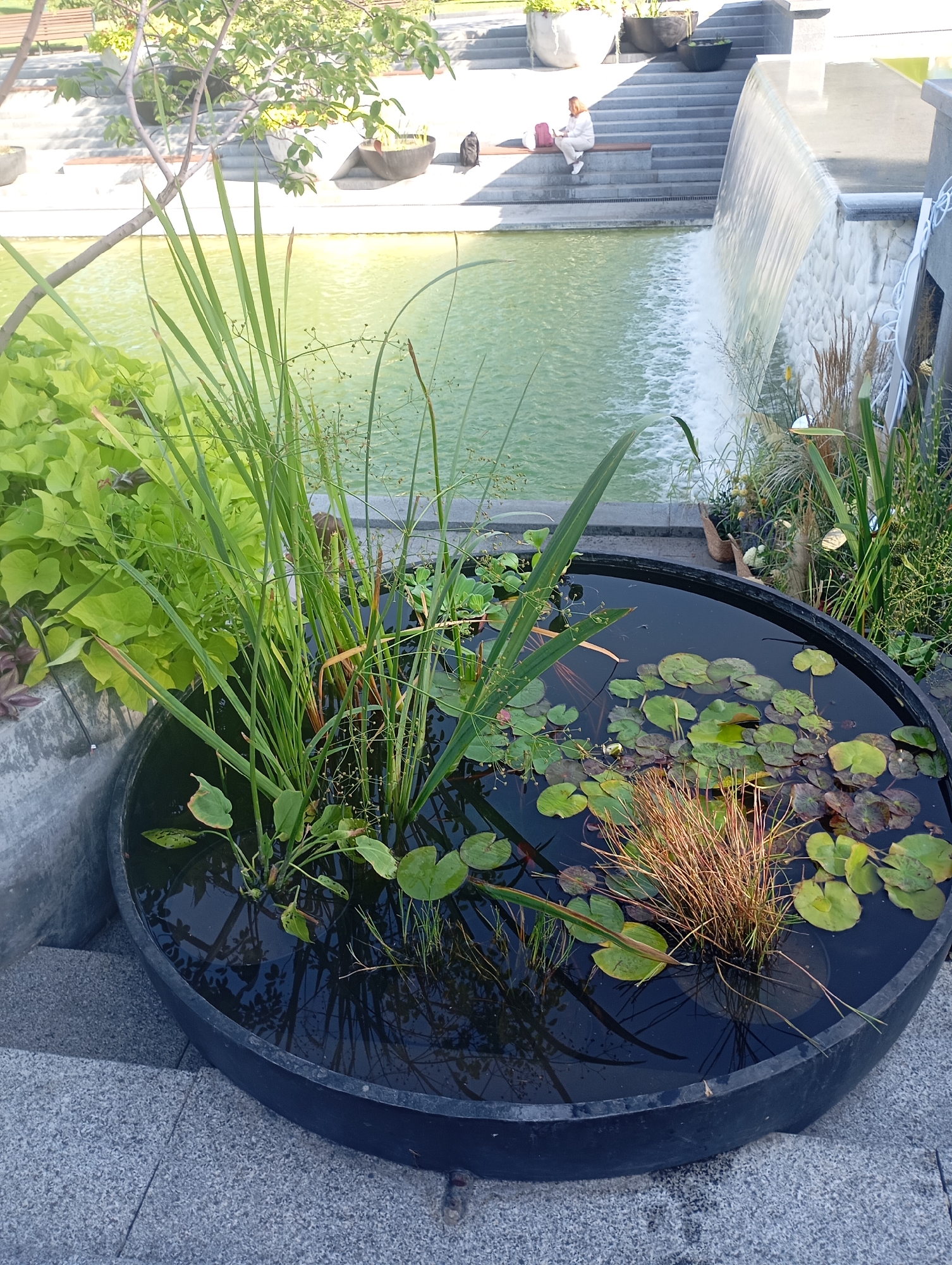 The image depicts an outdoor scene featuring a tiered water feature with a waterfall. In the foreground, a large black circular planter holds aquatic plants, including lily pads and reeds. Beyond the planter, a body of green water is visible, with a waterfall cascading down a textured white wall on the right. Behind the water feature, a set of gray concrete stairs leads up to a paved area. On the stairs, a person is seated on a bench, facing away from the camera, with a pink backpack beside them. The surrounding environment appears to be a park or public space, with trees and vegetation visible in the background. The image was taken in Kharkiv, Ukraine, as indicated by the prompt.