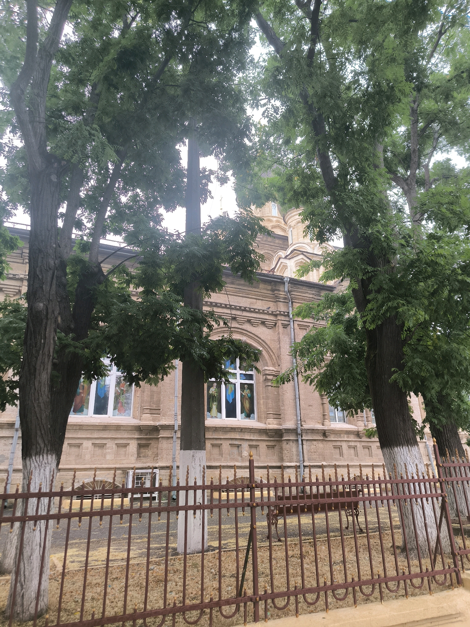 The image depicts the facade of a brick building, likely a church, with arched windows displaying stained glass. Tall trees with green foliage partially obscure the view of the building. A brown metal fence with decorative elements runs along the foreground, separating the viewer from the building and trees. The ground behind the fence is covered in dry leaves and yellow petals. The architecture suggests a historical building, possibly in an urban setting. Based on architectural similarities and common knowledge of prominent buildings in Mykolaiv, Ukraine, this is likely St. Nicholas Church.