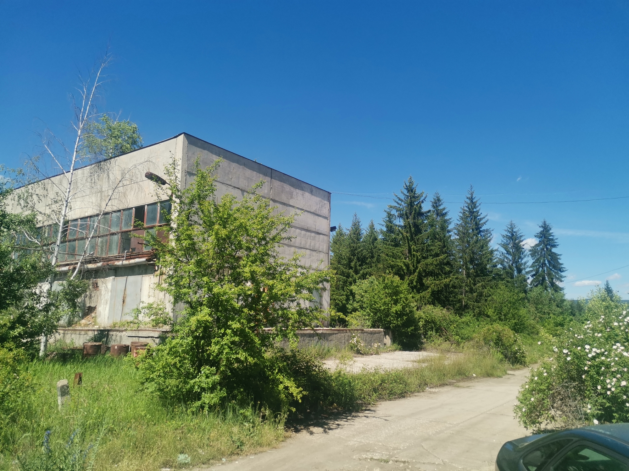 The image depicts a weathered, Soviet-era building in Verinsko, Bulgaria. The building is constructed of concrete and has several windows that appear to be rusted and in disrepair. The building is situated amongst trees and vegetation, some of which appears overgrown. The sky is clear and blue. A dirt road runs along the side of the building and shows signs of wear. A small portion of a dark-colored car is visible in the bottom right corner. There are no people visible in the image.
