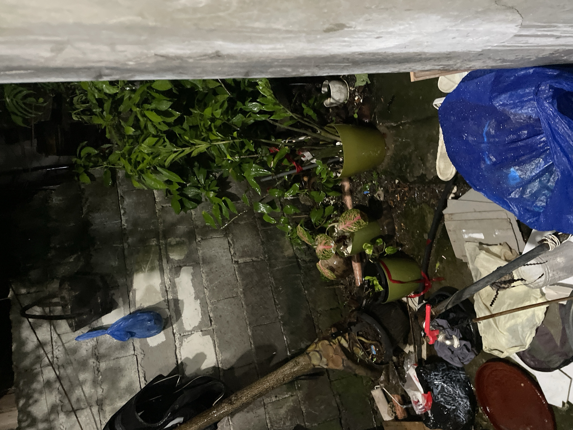 The image, taken from an elevated perspective, depicts a cluttered outdoor space in Davao City, Philippines. The environment appears wet, possibly due to rain, with damp brick paving stones. Several potted plants are visible, some lying on their sides. Discarded items such as a blue plastic bag, a blue shoe, black shoes, plastic containers, a broken tree branch, and miscellaneous trash are scattered across the area. A blue tarp is crumpled in one corner. The scene suggests a poorly maintained or neglected outdoor area. No people are visible.
