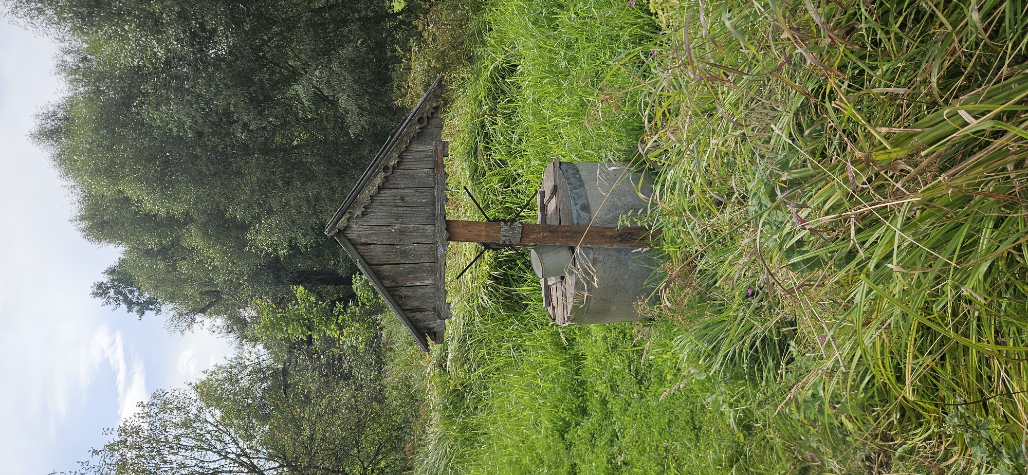 An old, weathered wooden-roofed well sits in a field of tall, green grass and other wild vegetation. The well itself is constructed of concrete rings and has a wooden lid. A metal bucket is visible inside the well. Behind the well, a dense line of trees forms a natural backdrop, with a partly cloudy sky visible above. The scene appears to be in a rural or semi-rural setting within the Mazalawski Sel'ski Savet in Belarus.