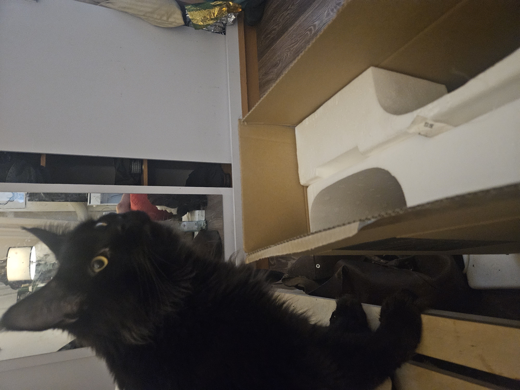 A black, long-haired cat with yellow eyes is positioned in the foreground on the left side of the image, looking to the right. The cat appears to be sitting on a wooden surface. To the right of the cat, a cardboard box is visible, containing white styrofoam packing material. In the background, a white cabinet with a mirrored door is present, reflecting a portion of the room, including a light fixture. A person wearing a red garment is partially visible in the reflection. The floor is made of wooden planks. The scene is indoors, and the overall lighting suggests it is daytime. No specific location in Astana, Kazakhstan can be determined from the image.