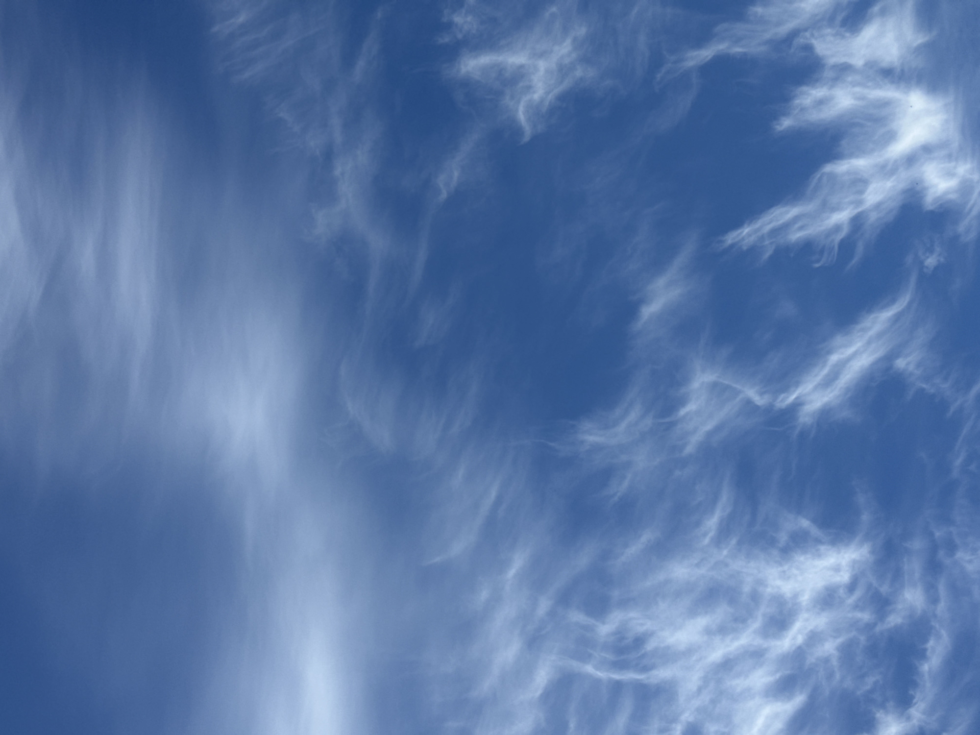 The media file displays a clear blue sky sparsely populated with white, wispy clouds. The sky occupies the majority of the frame, showcasing varying shades of blue, indicating good daytime visibility. The clouds are thin and elongated, appearing feathery or streaky in texture, consistent with cirrus cloud formations.
On the left side of the image, a broader, more diffused cloud band runs vertically, creating a slight gradient in the blue tone of the sky behind it. The clouds on the right side and scattered throughout the upper and central portions are more distinct, with irregular, flowing shapes that suggest movement by upper-level winds. No distinct patterns or figures are immediately discernible within the cloud formations.
There are no people, man-made objects, or visible text in the image. The scene depicts a natural sky view, likely on a bright day. The weather appears fair and clear, with only high-altitude clouds present. The location context provided is Stavropol, Russia. The time of day cannot be precisely determined, but the brightness of the blue sky suggests either morning or afternoon light.