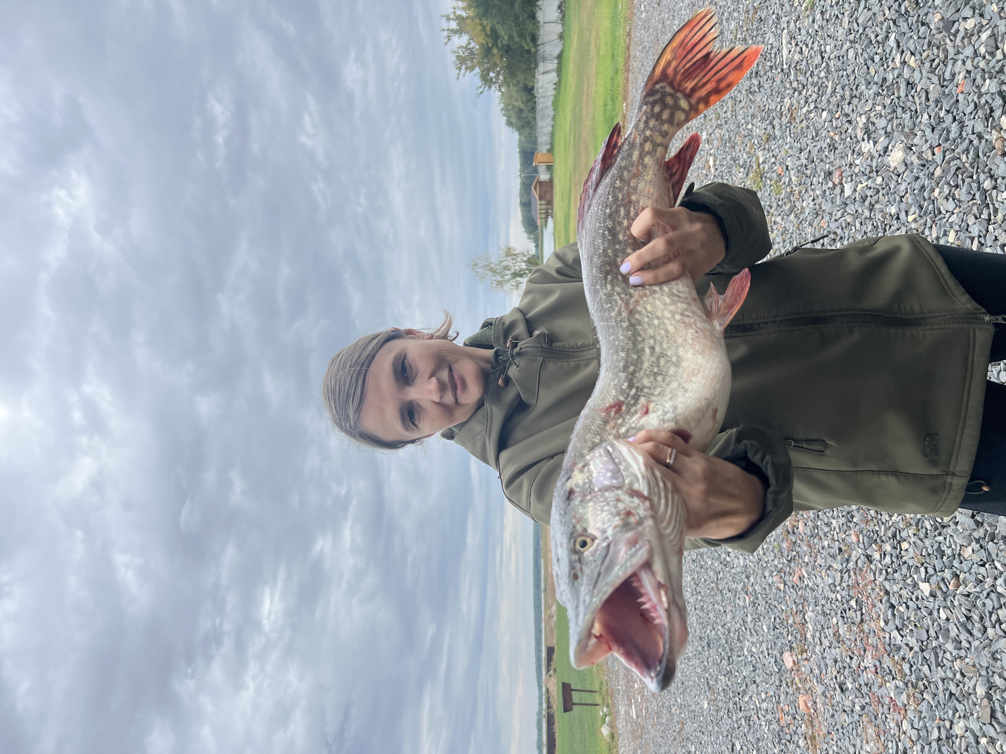 A woman is standing outdoors and holding a large fish in front of her. She is wearing a green jacket. The fish is silver with dark markings and has its mouth open, revealing sharp teeth. The woman is looking at the camera with a slight smile. The background shows a grassy area with some buildings and a cloudy sky. The ground in front of the woman is covered in gravel. The location is identified as Novo-Pichyugo, Russia.