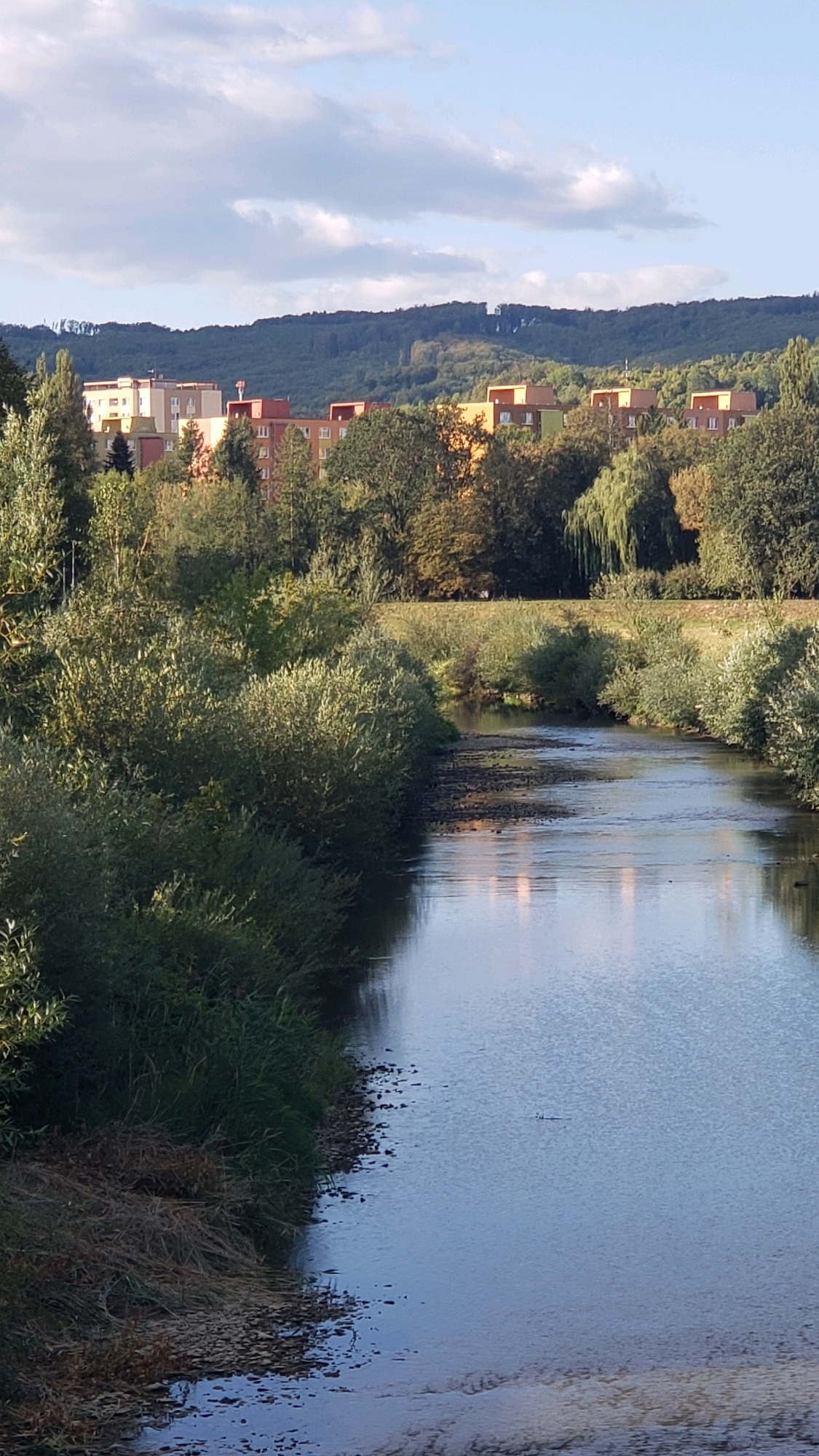 The image shows a river flowing through a green, tree-lined area with a city skyline in the background. The riverbanks are covered in dense green bushes and grasses, with some dry leaves and twigs scattered along the edge. The water is calm and reflects the sky and surrounding trees. In the distance, apartment buildings with colorful facades are visible, suggesting an urban setting. The sky is partly cloudy with patches of blue. The overall scene depicts a natural area adjacent to a residential part of the city. Based on the distinctive apartment buildings and the hilly terrain in the background, this scene is likely located in the Sekčov housing estate in Prešov, Slovakia, specifically along the Sekčovský potok (Sekčov stream) which flows through the area.