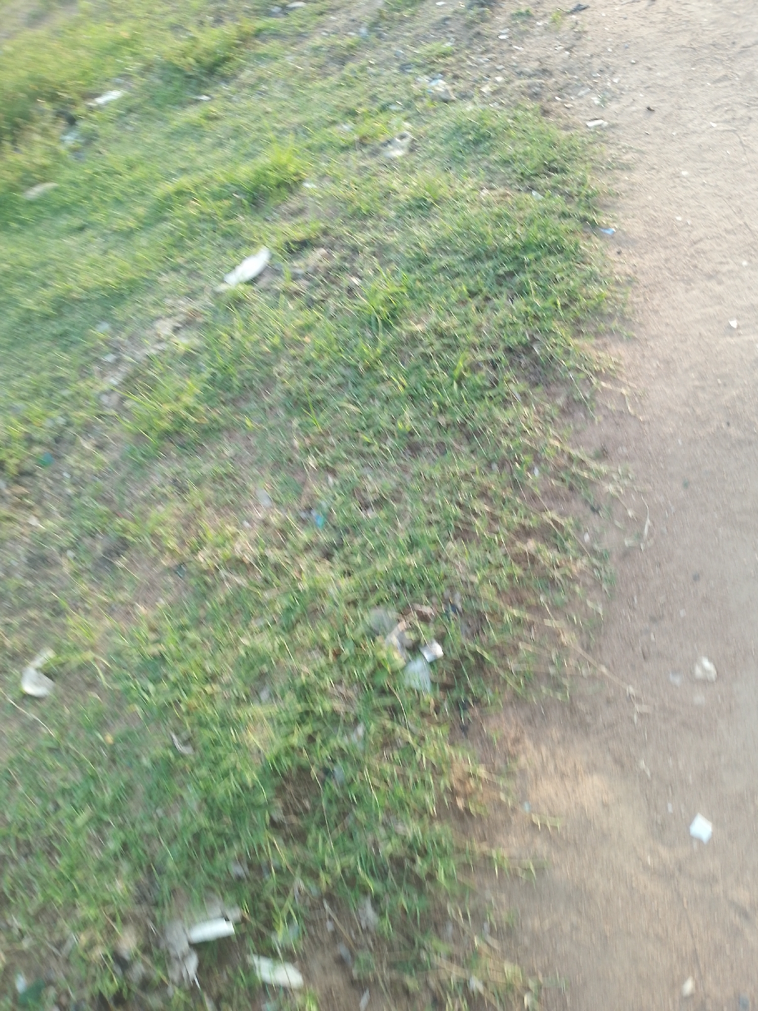 The image depicts a patch of dry grass bordering a dirt path. Scattered within the grass are several pieces of white debris, possibly litter. The path is light brown and appears to be unpaved. The scene is set outdoors with no discernible human presence or activity. The image quality is low with significant motion blur, making precise identification of all elements challenging. The location is identified as Jalingo, Nigeria.