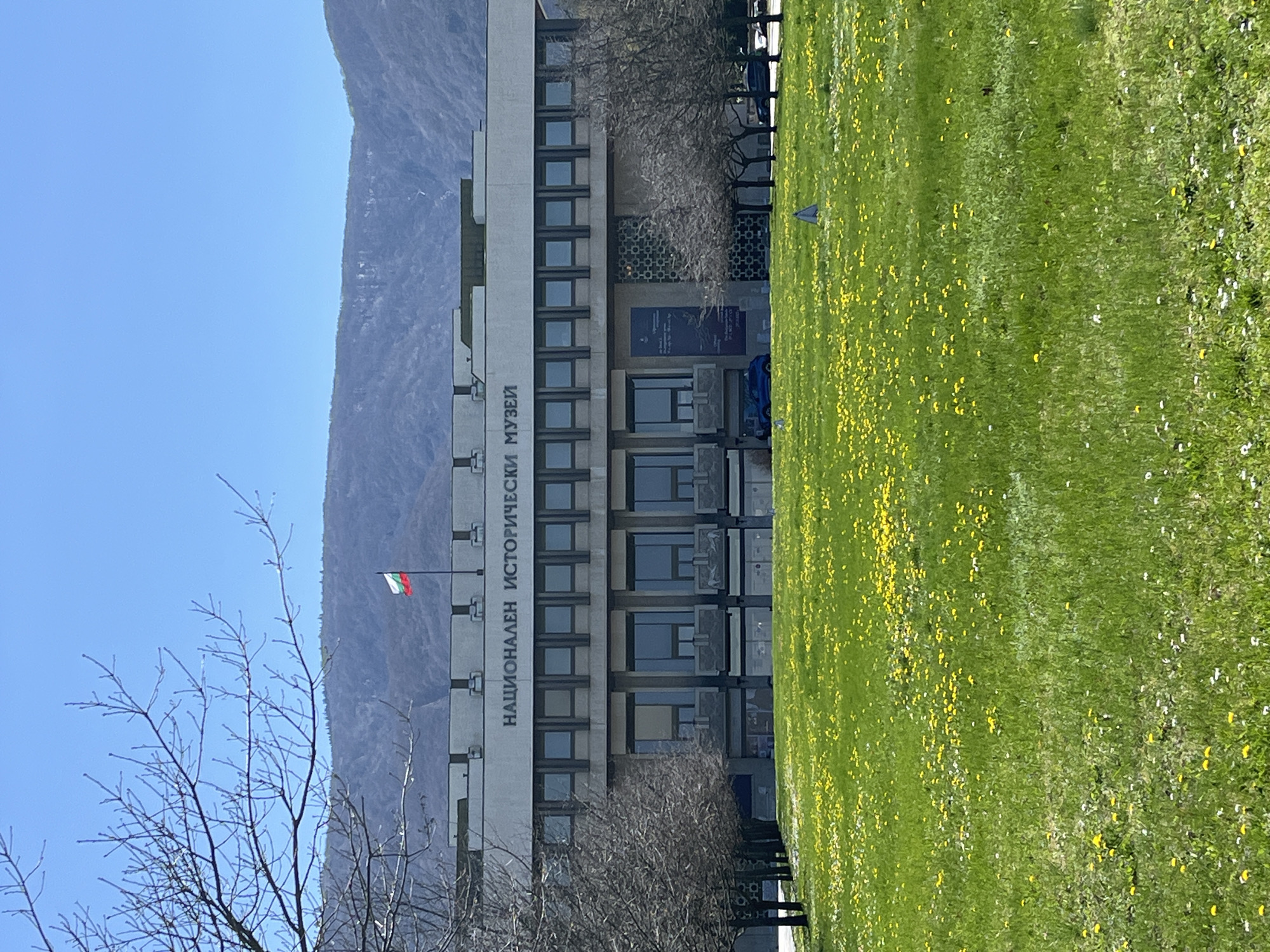 The image depicts the National Historical Museum in Sofia, Bulgaria. The building is a tall, modern structure with a symmetrical facade featuring numerous windows. The Bulgarian flag is flying prominently in front of the building. In the background, a mountain rises steeply, contrasting with the urban setting. A lush green lawn, dotted with yellow and white flowers, stretches out in front of the museum. A tree with bare branches is visible on the left side of the frame. The sky is a clear, bright blue.