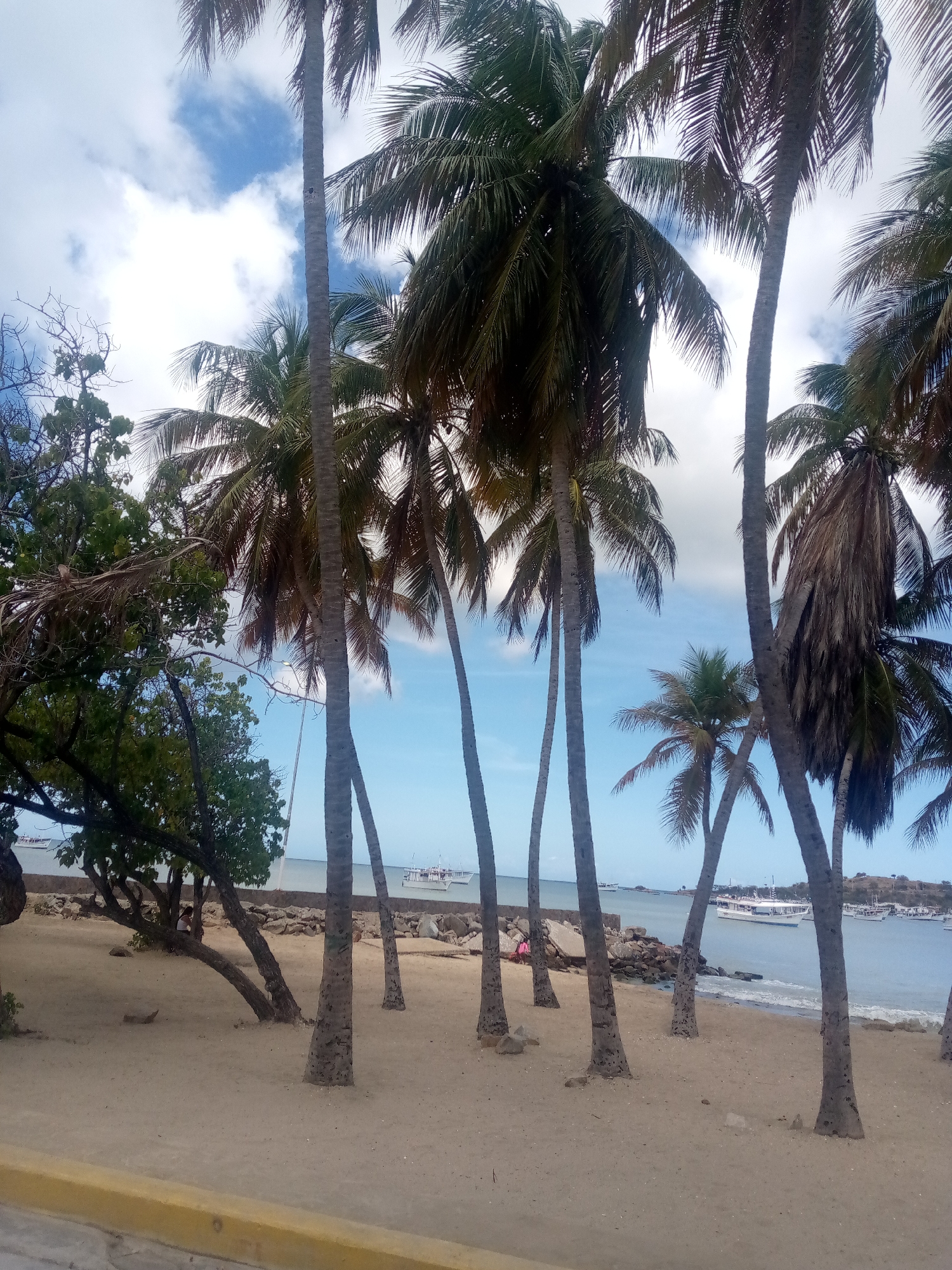 The image depicts a sandy beach in Juan Griego, Venezuela, lined with palm trees. Several boats are visible on the water. A few people can be seen amongst the trees. The sky is blue with scattered clouds. A yellow ledge is visible in the foreground.
