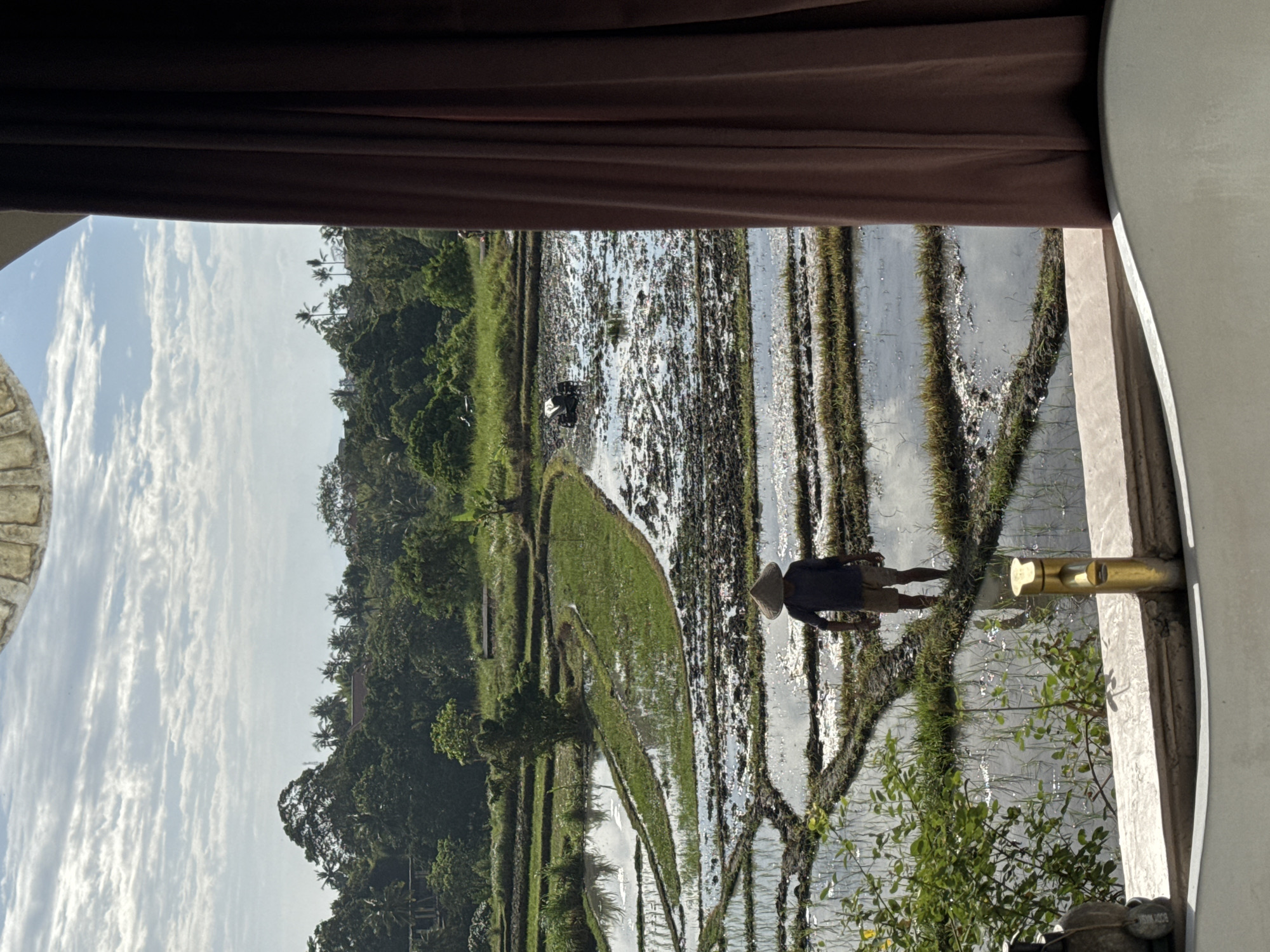 An outdoor scene in the city of Mengwi, Indonesia, features a person wearing a conical hat and standing in a flooded rice paddy. The person, seen from behind, wears a dark shirt and light shorts, with bare feet. The rice paddy is terraced, with sections of green grass and muddy, flooded areas reflecting the sky. A small, dark-colored agricultural machine is visible in the middle ground of the paddy. Lush green trees and vegetation form a backdrop, with a cloudy sky overhead. In the foreground, a brown curtain hangs to the right, partially obscuring the view, and a concrete ledge with a golden faucet and a decorative object is present.