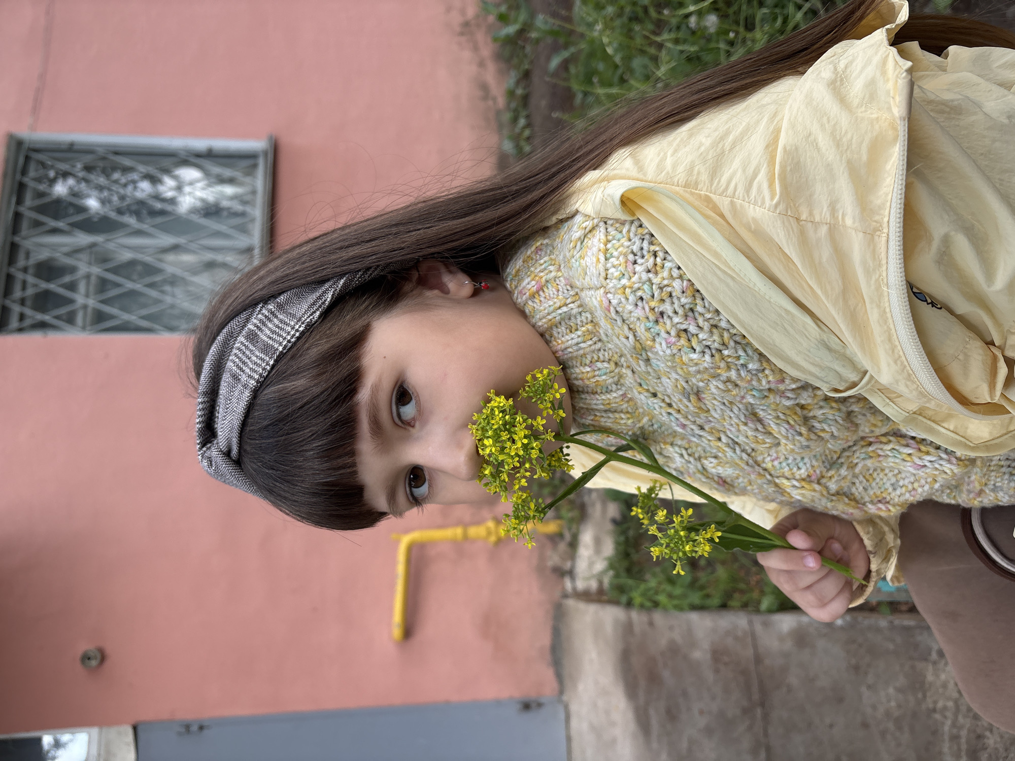 A young girl with long, dark brown hair and bangs is pictured outdoors, holding a small bunch of yellow flowers to her face. Her brown eyes look slightly upwards and to the right with a curious, gentle expression. She is wearing a grey and white plaid headband, a light yellow knitted sweater with colorful flecks, and a light yellow lightweight jacket. A small red bead earring is visible in her left ear.
The background features a pink or peach-colored building wall. A window with a metal security grid is visible on the wall, and a bright yellow gas pipe runs horizontally along the lower section. Green foliage and grass can be seen behind her head and in the upper part of the background. The ground she is on appears to be concrete. The natural lighting indicates it is daytime. The architecture, including the distinct yellow gas pipe, is consistent with the provided location context of Chaikovsky, Russia. There is no visible text in the image.