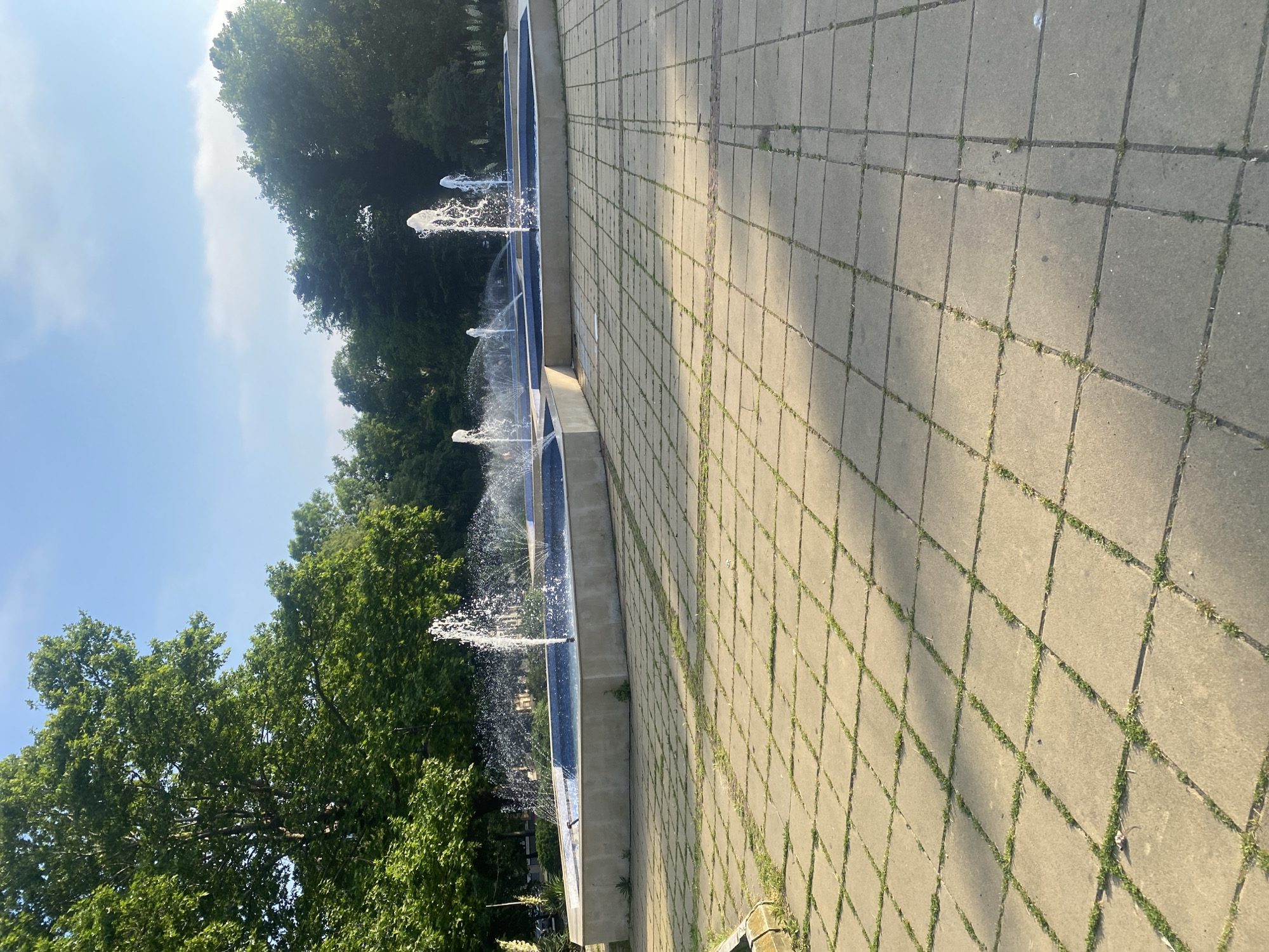 The image displays an outdoor public space featuring multiple active fountains, extensive paving, and dense greenery under a clear sky. A series of interconnected, low-rise concrete fountain basins, likely trapezoidal in arrangement, contain dark blue tiled interiors from which numerous individual water jets project vertically and in arcs, generating significant splashing. The foreground and midground are covered by a light grey square-tiled pavement, with green grass and weeds growing visibly between the individual slabs. Distinct long shadows are cast across the paved surface, indicating the sun is relatively low in the sky. Lush, dense green foliage from mature deciduous trees frames the scene, extending across the left side and forming a continuous backdrop in the distance. The sky above is a clear, bright blue with a few subtle white cloud formations. No individuals or identifiable specific objects are present in the scene. This location is identifiable as the Art Fountains (also known as the Singing Fountains) in the Sea Garden (Morska Gradina) of Varna, Bulgaria.