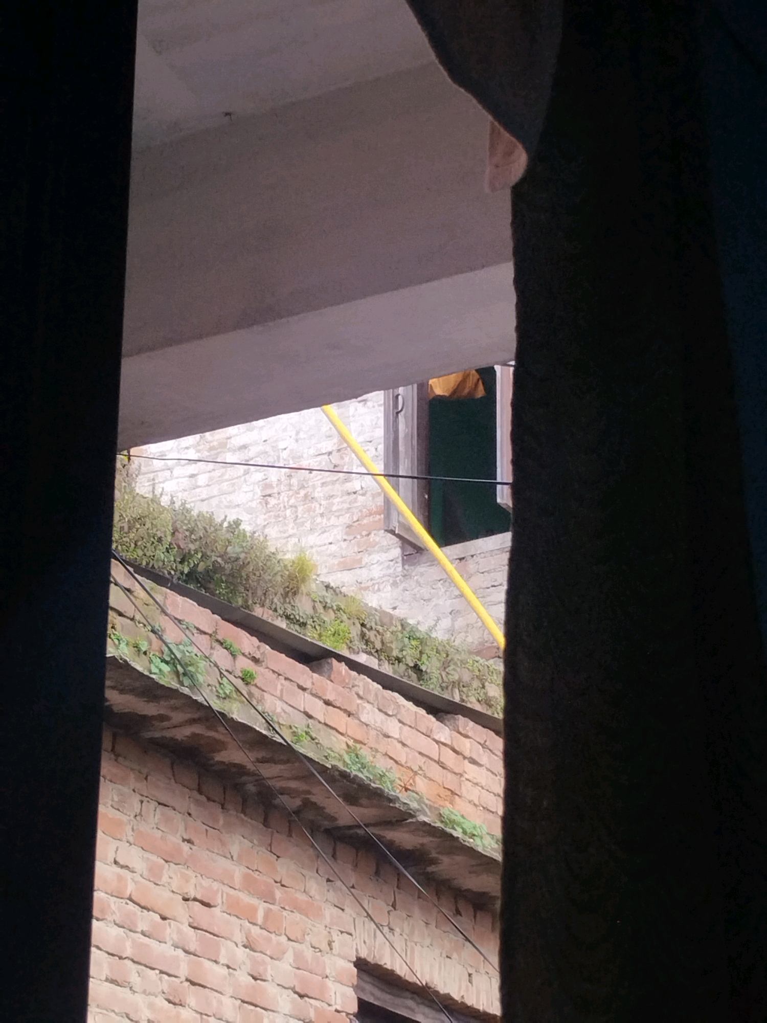 The image depicts a view through an opening, possibly a window or doorway, looking towards an exterior brick wall and a concrete structure. The foreground is dominated by dark, indistinct shapes that frame the view.
In the middle ground, a brick wall is visible, constructed from reddish-brown bricks. Green foliage sprouts from ledges and cracks in the brickwork, suggesting an accumulation of plant life over time. Above the brick wall, a horizontal concrete structure extends across the frame. A yellow pipe or rod is diagonally positioned against the brick wall and extending upwards.
Further back, an opening in a white brick wall reveals a dark interior space, possibly a room or a covered area, with what appears to be yellow fabric visible within. There are no people or active events depicted in the scene. The environment suggests an urban or semi-urban setting, possibly an older building with signs of weathering and plant overgrowth. The location is identified as Madhyapur Thimi, Nepal.