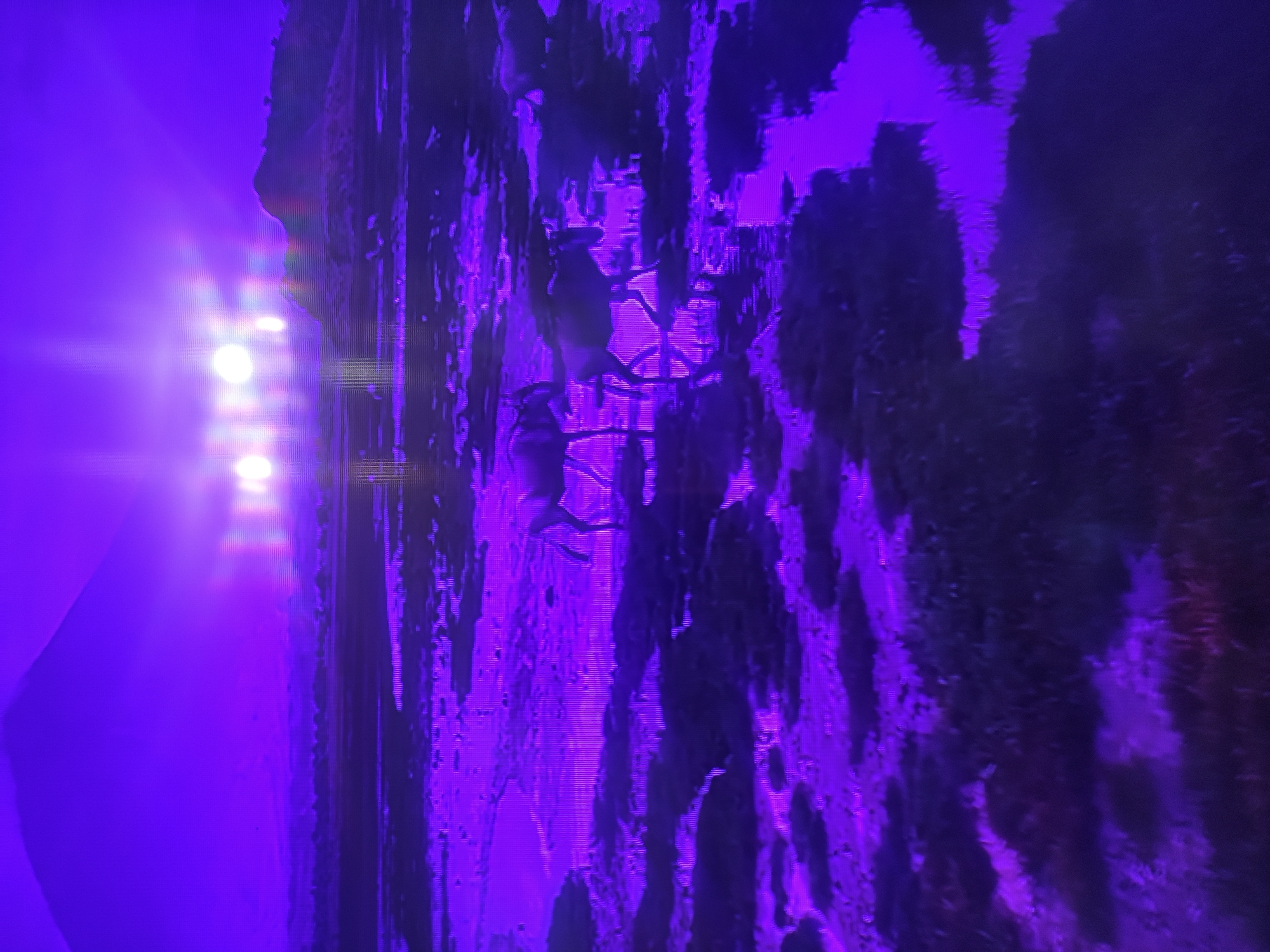 The image shows a landscape with two deer-like animals on a field or plain. The color scheme is predominantly purple. On the left side, there's a bright light source and a mountain-like form. The location and people involved are unclear. The scene appears to be a photograph taken of a television screen due to the visible grid pattern. The presence of deer would make it unlikely that it is in the city of Pavlodar, Kazakhstan.
