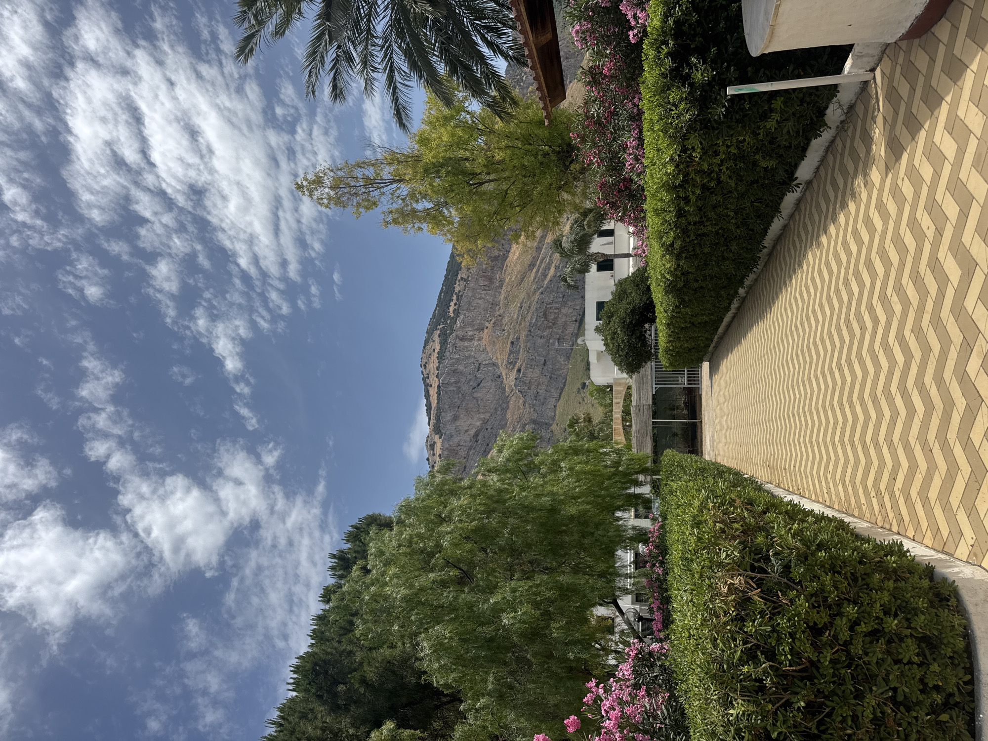 The image depicts a pathway paved with yellow and tan chevron-patterned tiles, leading through a manicured garden. Lush green hedges line both sides of the path, with vibrant pink flowers interspersed among them. In the background, a white building with dark windows is visible, set against a backdrop of a dramatic, rugged mountain range. Palm trees and other verdant trees, including a large deciduous tree with drooping branches, contribute to the tropical or Mediterranean feel of the environment. The sky above is a bright blue, dotted with fluffy white clouds. The scene suggests a well-maintained outdoor area, possibly part of a resort or residential complex, with a striking natural landscape in the distance. The location is identified as Isola delle Femmine, Italy. There are no people or animals visible in the image.