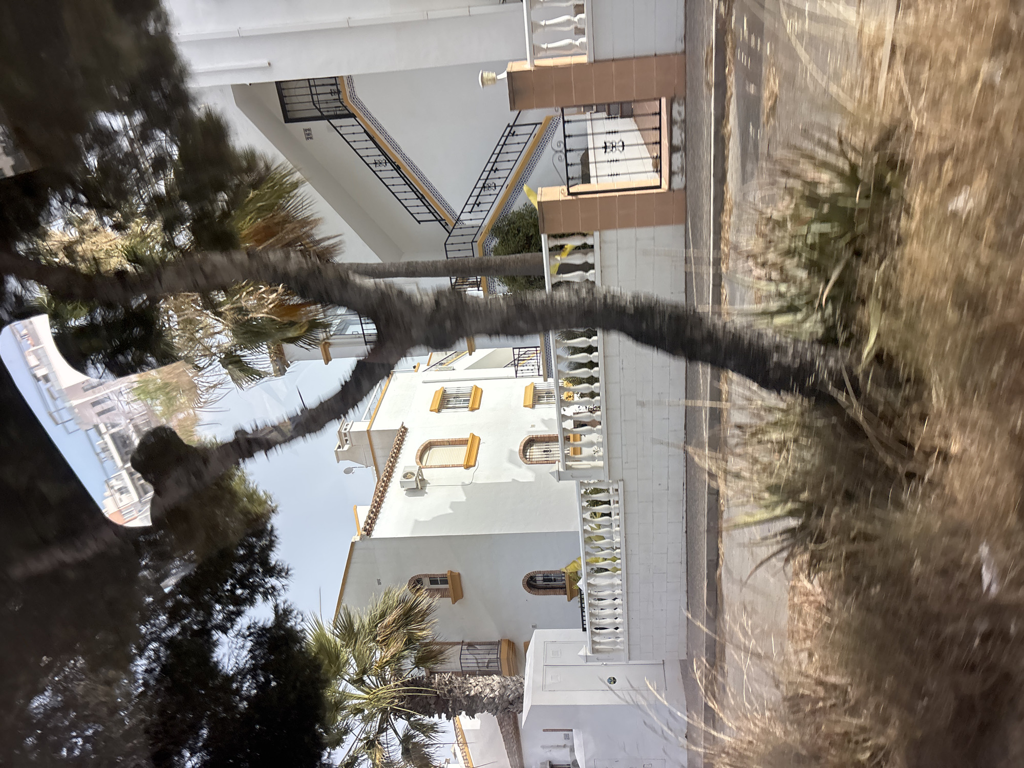 This image depicts a street view of residential buildings in Orihuela, Spain. The architecture is characterized by white facades with yellow accents around windows and on rooflines. Several palm trees are visible, suggesting a warm climate. A white, ornate fence runs along the front of the properties, with a black metal gate providing access. An outdoor staircase with black railings and decorative tiles leads up to one of the buildings. The foreground is blurred, showing dry grass and foliage, indicating movement, possibly from a vehicle. The sky is a clear blue.