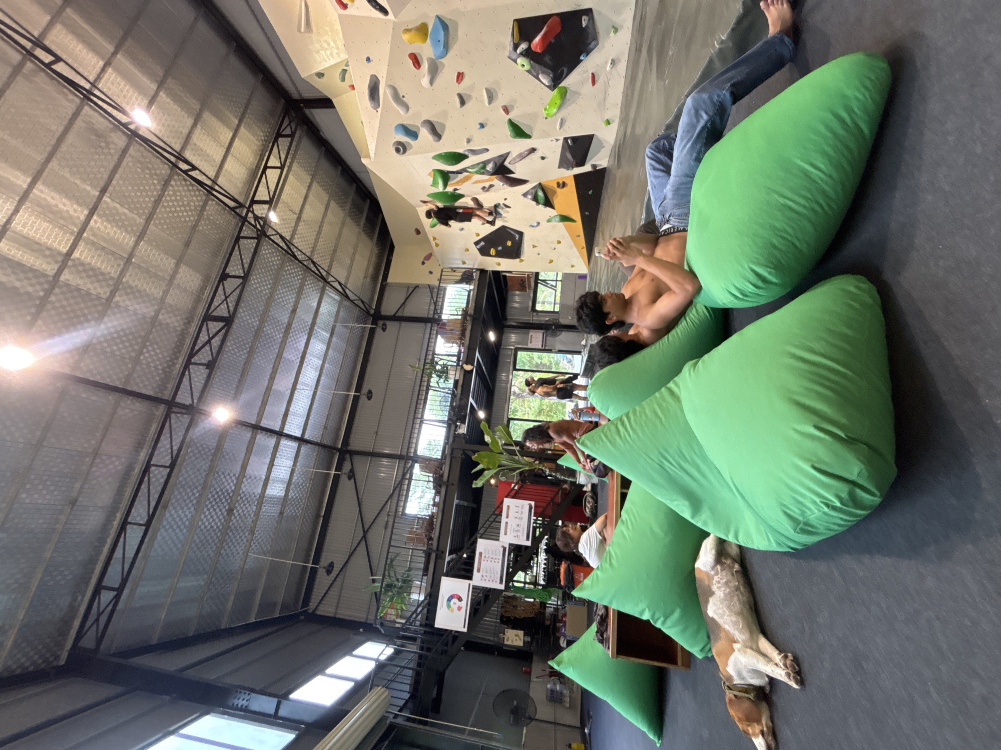 The image depicts the interior of a bouldering gym in Da Nang, Vietnam. In the foreground, a young man, shirtless and wearing blue jeans, is reclining on a large green beanbag chair, looking at his phone. To his left, a beagle dog is asleep on the floor next to several other green beanbag chairs. In the midground, a few people are seated and standing around a table with plants. In the background, a bouldering wall with colorful holds is visible, with a person climbing on it. The gym features a high ceiling with exposed metal beams and industrial lighting. Large windows allow natural light into the space.