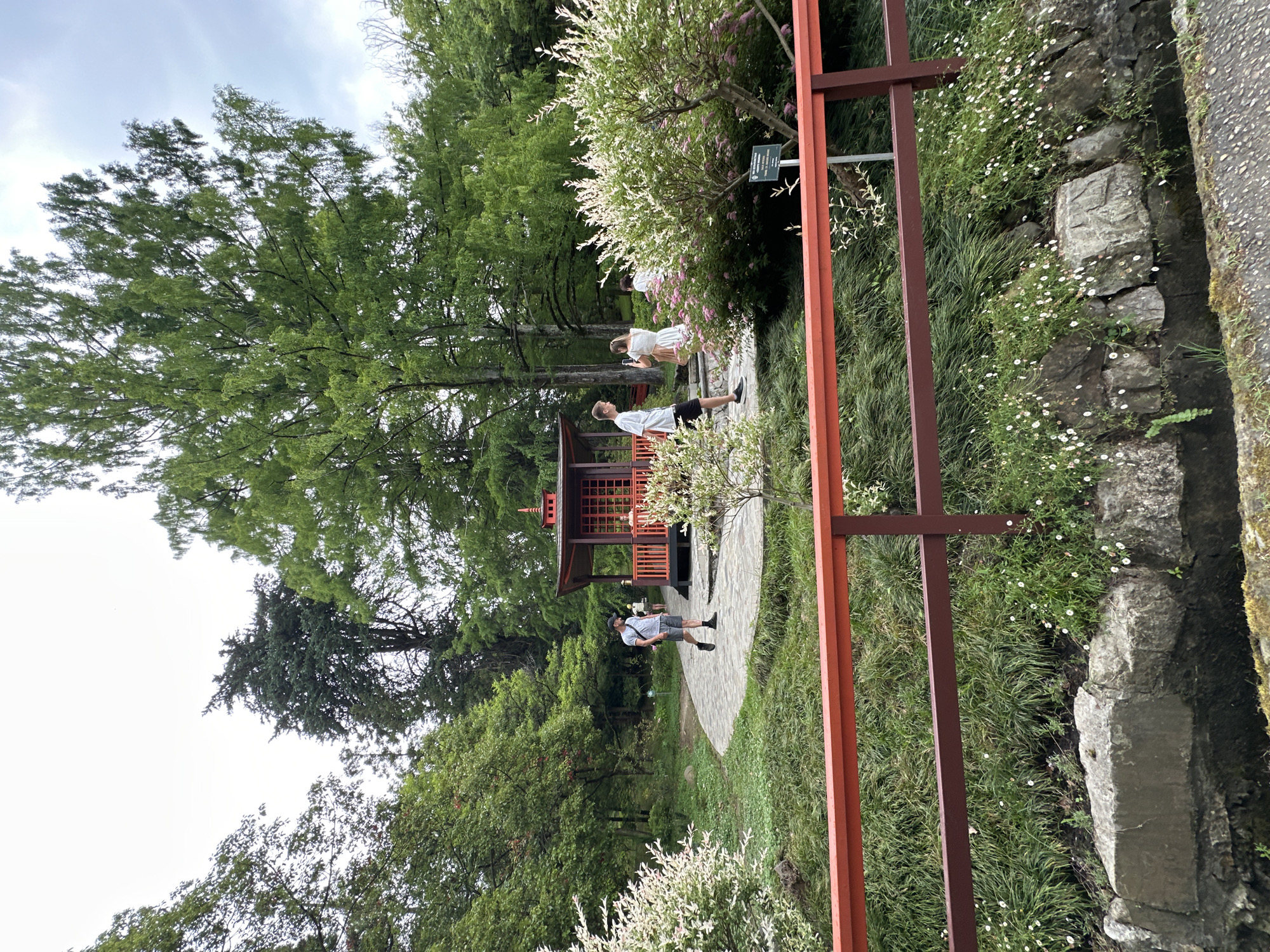 This is a landscape photograph of a park-like setting with a Japanese-inspired gazebo. The image is oriented vertically. In the foreground and extending to the right of the frame is a dark red metal railing. To the left of the railing, a winding paved path is visible, bordered by lush green grass and small white wildflowers growing amongst rocks and moss.
Further into the scene, a young man in a white t-shirt and grey shorts stands on the paved path, facing away from the camera and towards a traditional Japanese gazebo with a red roof. Behind him, two other figures, seemingly women in light-colored dresses, are also present near the gazebo, one appearing to take a photograph with her phone. The gazebo itself is red and wooden with intricate lattice work.
The background is filled with a variety of trees, some tall and leafy with dark green foliage, others with lighter, feathery leaves, suggesting a diverse collection of plant life within the park. The sky above is overcast with grey clouds, indicating it might be a cloudy day. The overall impression is one of a serene and aesthetically pleasing garden environment. The location is noted as Sochi, Russia. There is a small sign visible on a tree behind the gazebo, but the text is not legible.