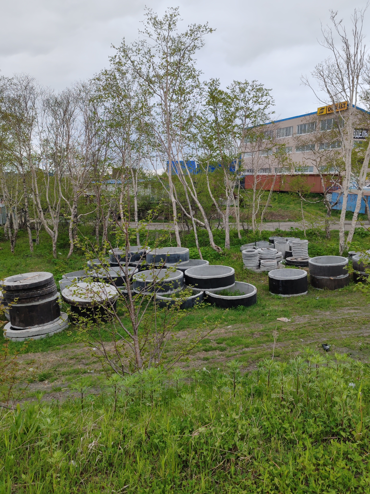 The image depicts an outdoor scene in Petropavlovsk-Kamchatsky, Russia, likely a storage or industrial area. In the foreground, a pile of large, gray concrete rings, some with black banding, are stacked on a grassy area. These appear to be sections of concrete pipes or manhole components. Behind the concrete rings, a line of slender trees with sparse foliage stretches across the midground. Further back, a light-colored, multi-story building with a blue roof is visible. The building has numerous windows and a yellow sign with text that appears to read "DEWALT." The sky is overcast and a pale gray. The overall environment suggests a practical, functional setting with a focus on construction materials and infrastructure components. There are no people or animals clearly visible in the frame.