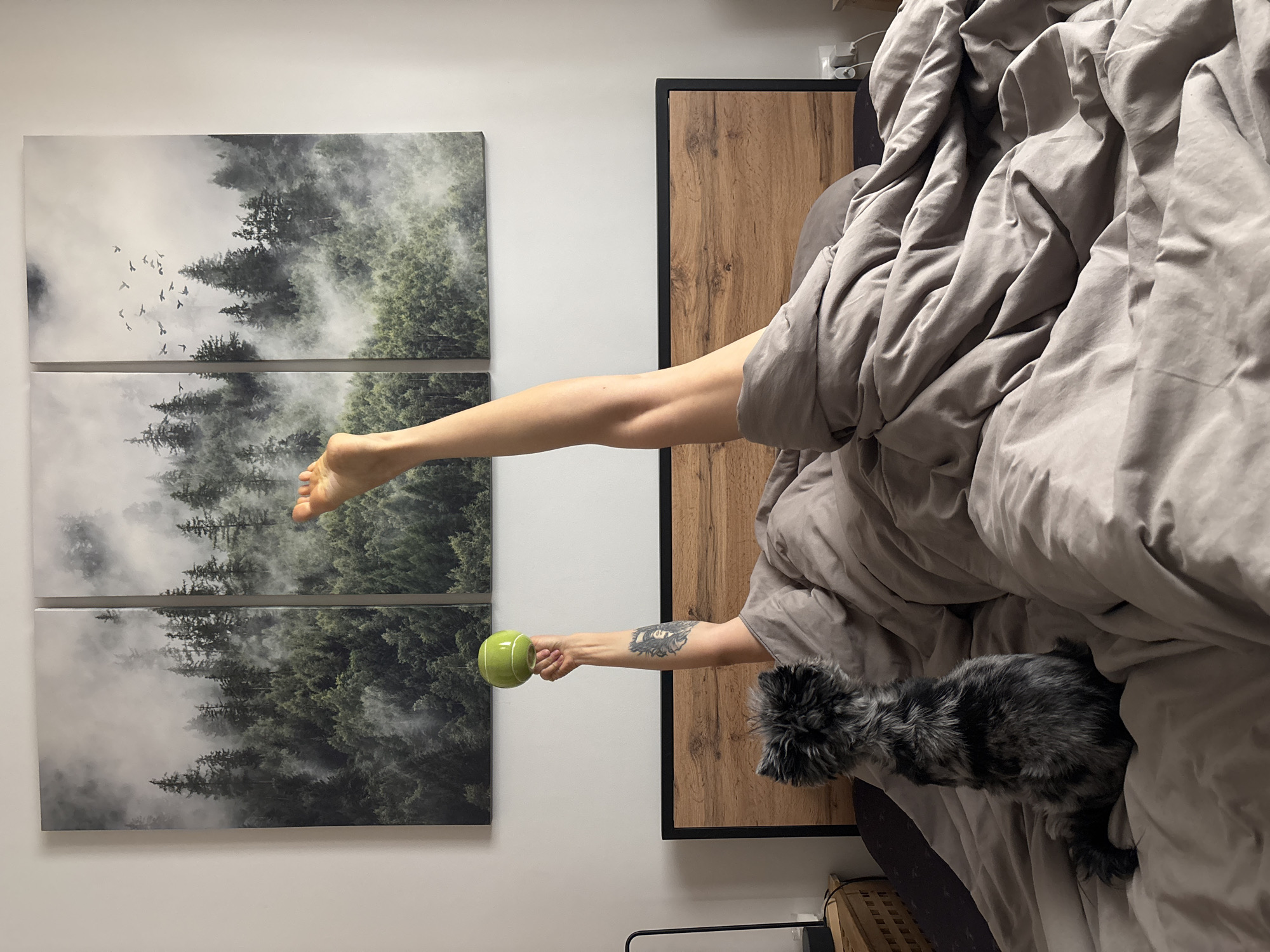 A person is lying in a bed covered with a gray duvet, with one leg extended towards a wall adorned with a three-panel artwork depicting a forest scene. The person's arm is also extended, holding a green object. A small, gray dog sits near the person on the bed. The setting appears to be indoors, with the bed positioned next to a wooden-paneled piece of furniture. There is no discernible evidence to support the location being Chaikovsky, Russia.