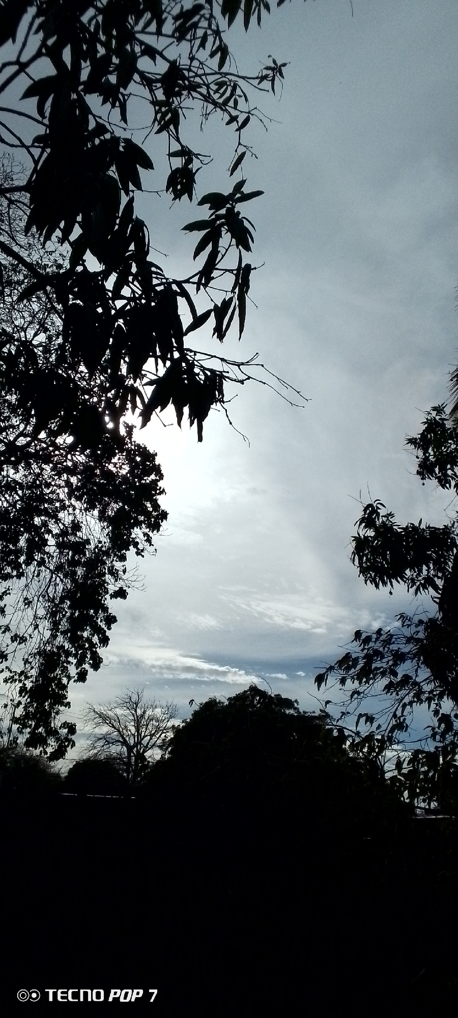 The image shows a cloudy sky viewed through the silhouetted branches and leaves of trees. The sky has varying shades of gray, suggesting different cloud layers. The trees are dark, obscuring the ground level details. The image was captured with a TECNO POP 7 phone. The location is Altagracia, Venezuela.