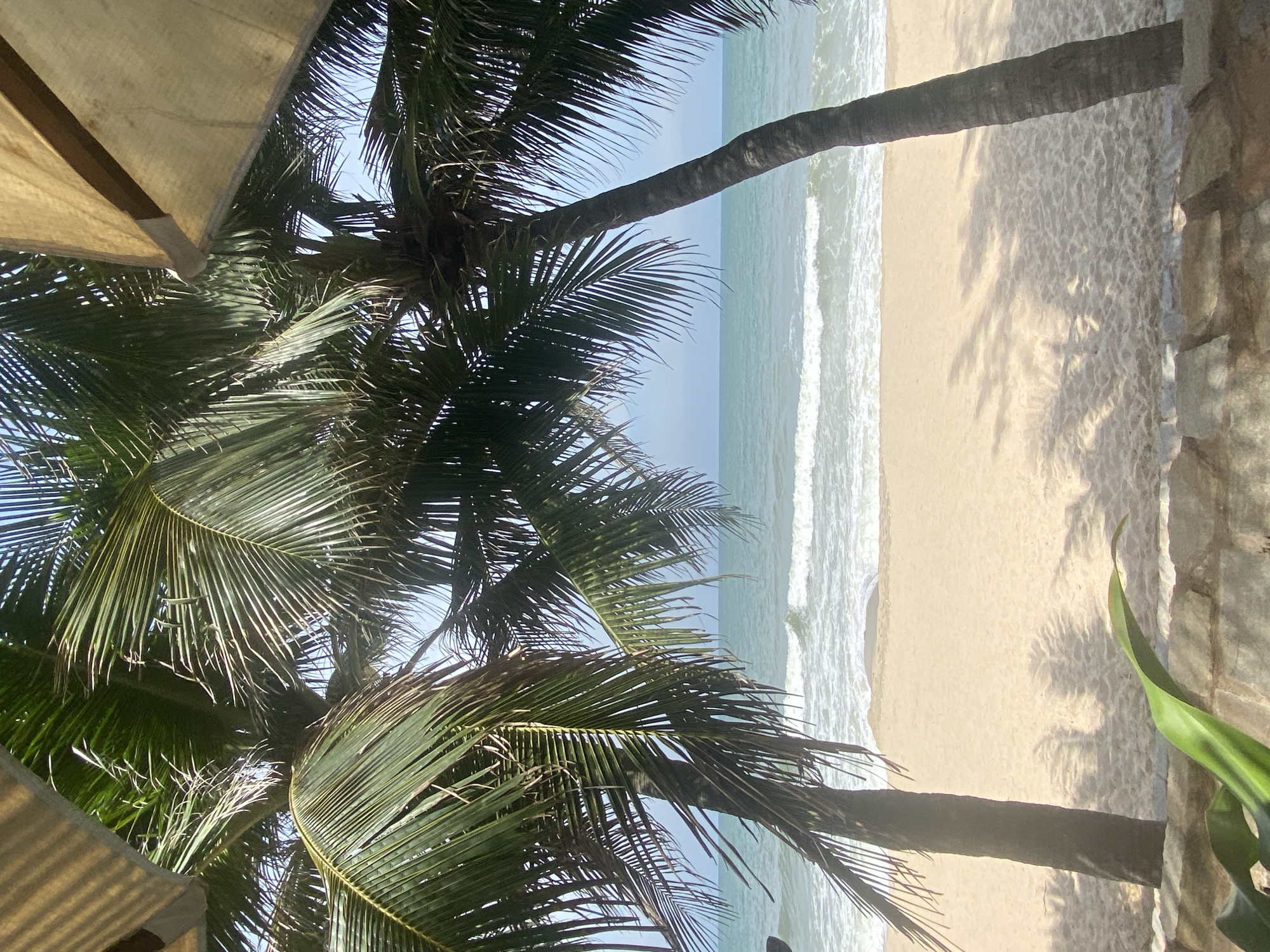 The image captures a serene beach scene framed by palm trees and a thatched umbrella. The foreground features a stone wall and lush green foliage, leading the eye to a vast expanse of golden sand. Gentle waves of the turquoise ocean crash onto the shore, creating a white foam line. The sky is a clear, pale blue, suggesting a warm and sunny day. Shadows of palm fronds are cast across the sand, adding depth and texture to the scene. The overall atmosphere is one of tranquility and tropical beauty, evoking a sense of relaxation. The location is likely a resort or a public beach area in Phu Thuy Ward, Vietnam, given the presence of palm trees and the ocean.