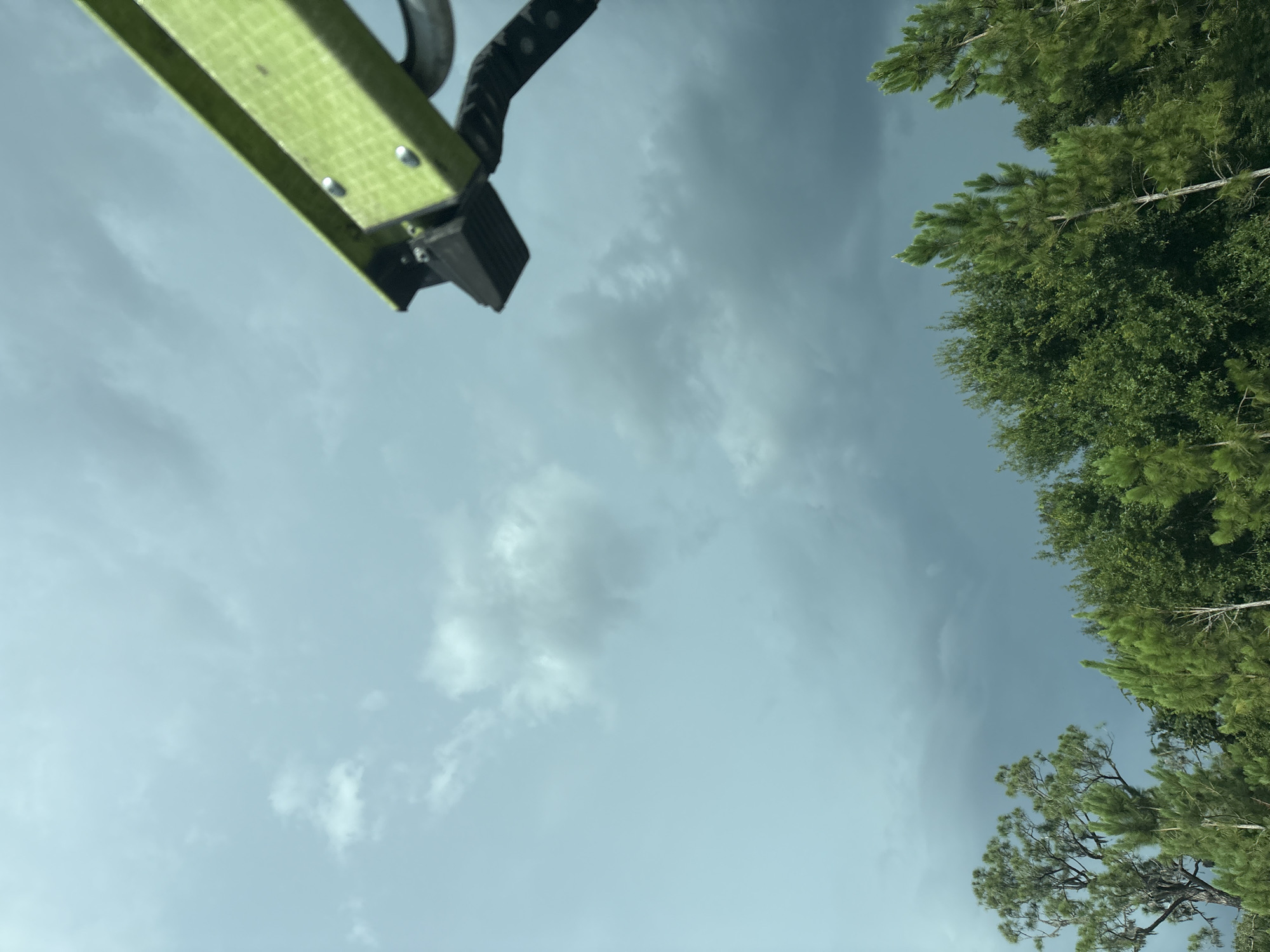 A dark, overcast sky looms over a dense line of green trees. In the upper right corner of the image, a bright green metal arm extends into the frame from the top, with a black clamp attached to its end. The arm appears to be part of some sort of machinery or equipment. The trees below are varied in type and height, with some showing pine needles and others with broader leaves. The overall impression is one of an impending storm or the aftermath of rain, with a somewhat ominous atmosphere. No people or specific landmarks of Sarasota are visible in this image.