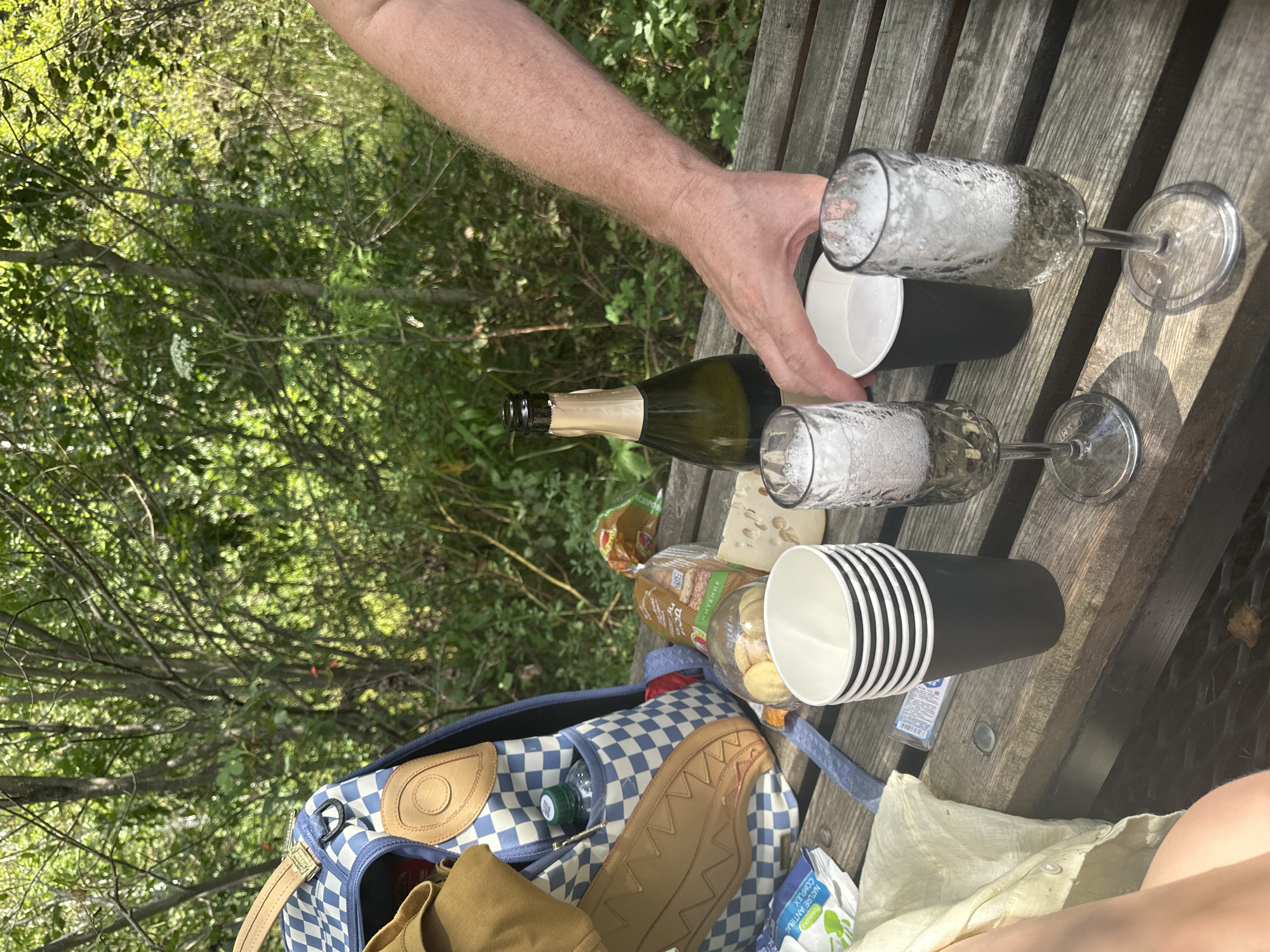 A close-up, overhead shot shows a picnic scene on a wooden picnic table. In the background, dense green foliage suggests a wooded area. In the foreground, a blue and white checkered backpack is partially visible on the left. A person's arm and hand extend into the frame from the right, reaching towards a stack of black paper cups with white rims. Two champagne flutes filled with a bubbly, light-colored liquid stand on the table, one in front of the other. To the left of the cups is a bottle of champagne with a gold foil cap. Other picnic items, including a loaf of bread, a package of cookies, and a wedge of cheese, are scattered on the table. A small packet labeled "NATURE COMPLEX" is also visible. The lighting suggests it is daytime, with sunlight filtering through the trees.
