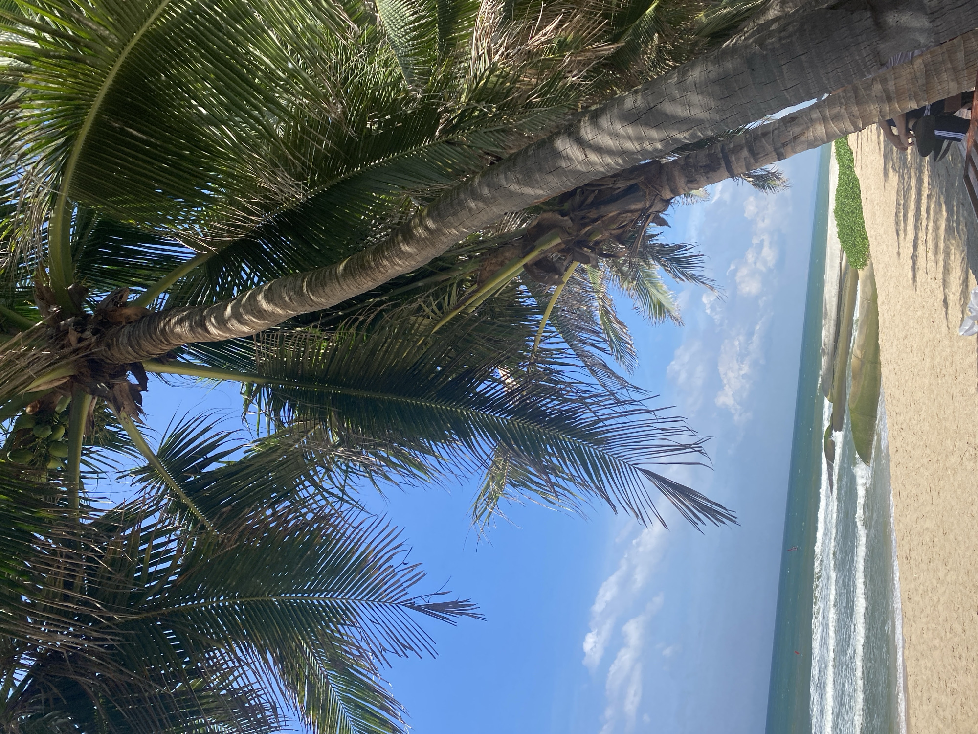 The image shows a beach scene in Mũi Né, Vietnam, dominated by tall palm trees with green fronds against a bright blue sky with scattered white clouds. The sandy beach is in the foreground, with the turquoise ocean and gentle waves to the left. Several individuals are visible on the beach, some appearing to be seated under the shade of the palm trees. In the distance, on the water, two small red objects, possibly kitesurfers or windsurfers, are visible. The composition is a low-angle shot looking up towards the palm trees, emphasizing their height and tropical atmosphere.