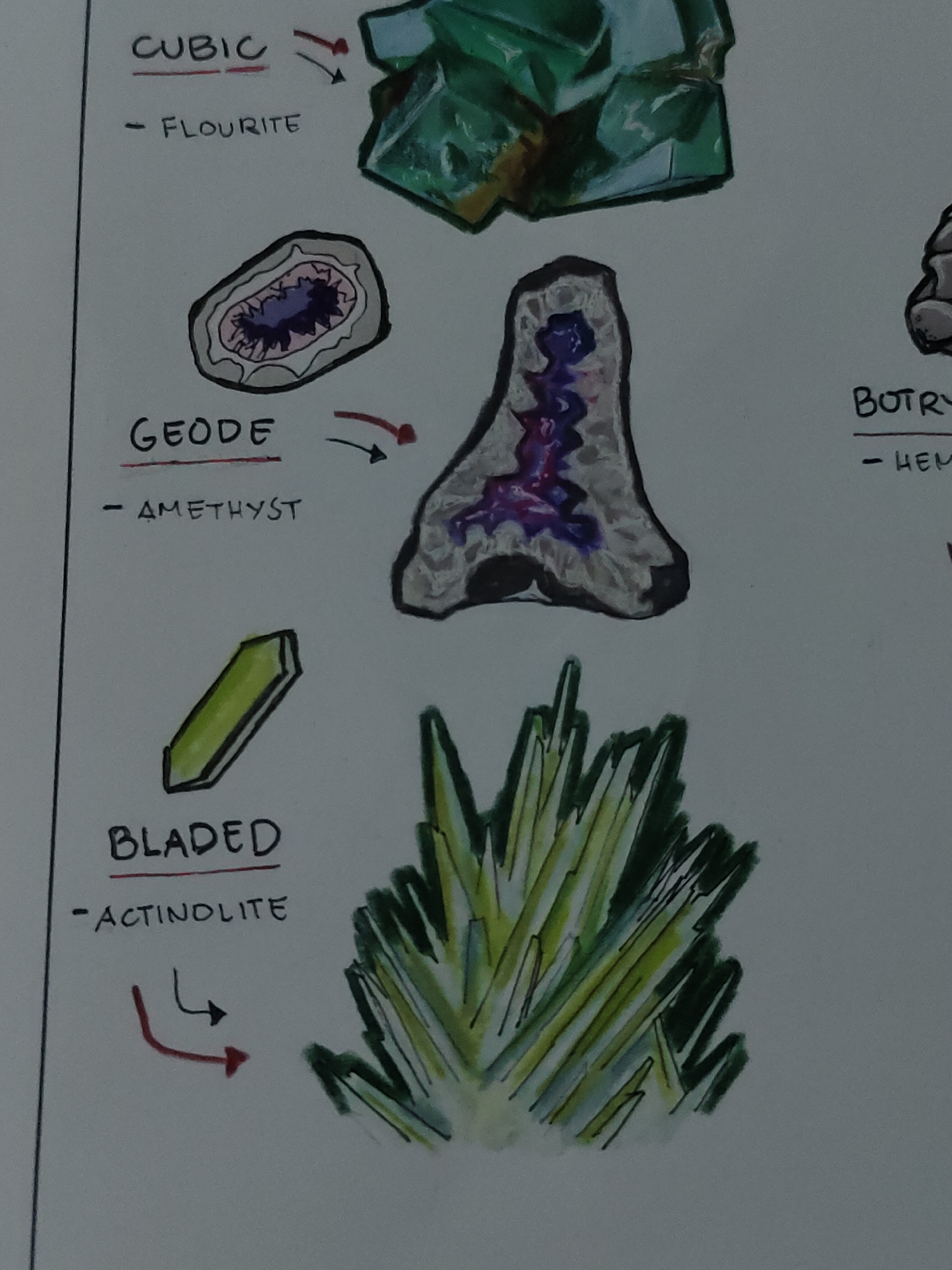 The image displays a close-up section of a white sheet of paper containing hand-drawn illustrations and accompanying handwritten text. The content is organized into three distinct sections, each detailing a mineral or rock formation type with a corresponding example.
In the top section, the word "CUBIC" is underlined in red, followed by "- FLOURITE". A red curved arrow points from this text towards an illustration on the right. The illustration depicts a cluster of interconnected green crystals, characterized by blocky, angular forms consistent with cubic or octahedral crystal habits, exhibiting variations in shade from dark to light green, with some brown or yellowish inclusions.
The middle section features the word "GEODE" underlined in red, followed by "- AMETHYST". Red curved arrows connect this text to two illustrations of geodes. The first illustration on the left is an oval cross-section of a geode, showing an outer layer of light grey rock and an inner cavity lined with multiple pointed purple crystals. The second illustration on the right depicts an irregularly shaped geode cross-section, also with a grey outer shell, revealing an internal cavity filled with jagged purple and reddish crystalline structures.
The bottom section presents the word "BLADED" underlined in red, followed by "- ACTINOLITE". Red curved arrows point from this text towards a central illustration. To the left of the text, there is a smaller, singular drawing of an elongated, faceted green crystal, representative of a bladed habit. The main illustration depicts a dense, radiating cluster of numerous thin, elongated green crystals, fanning out from a central point, indicative of an actinolite mineral formation.
The overall environment is a flat, white surface, likely paper, with drawings executed in pen and colored with markers or colored pencils. No people, discernible interactions, or specific geographical location are visible within the frame of the image.