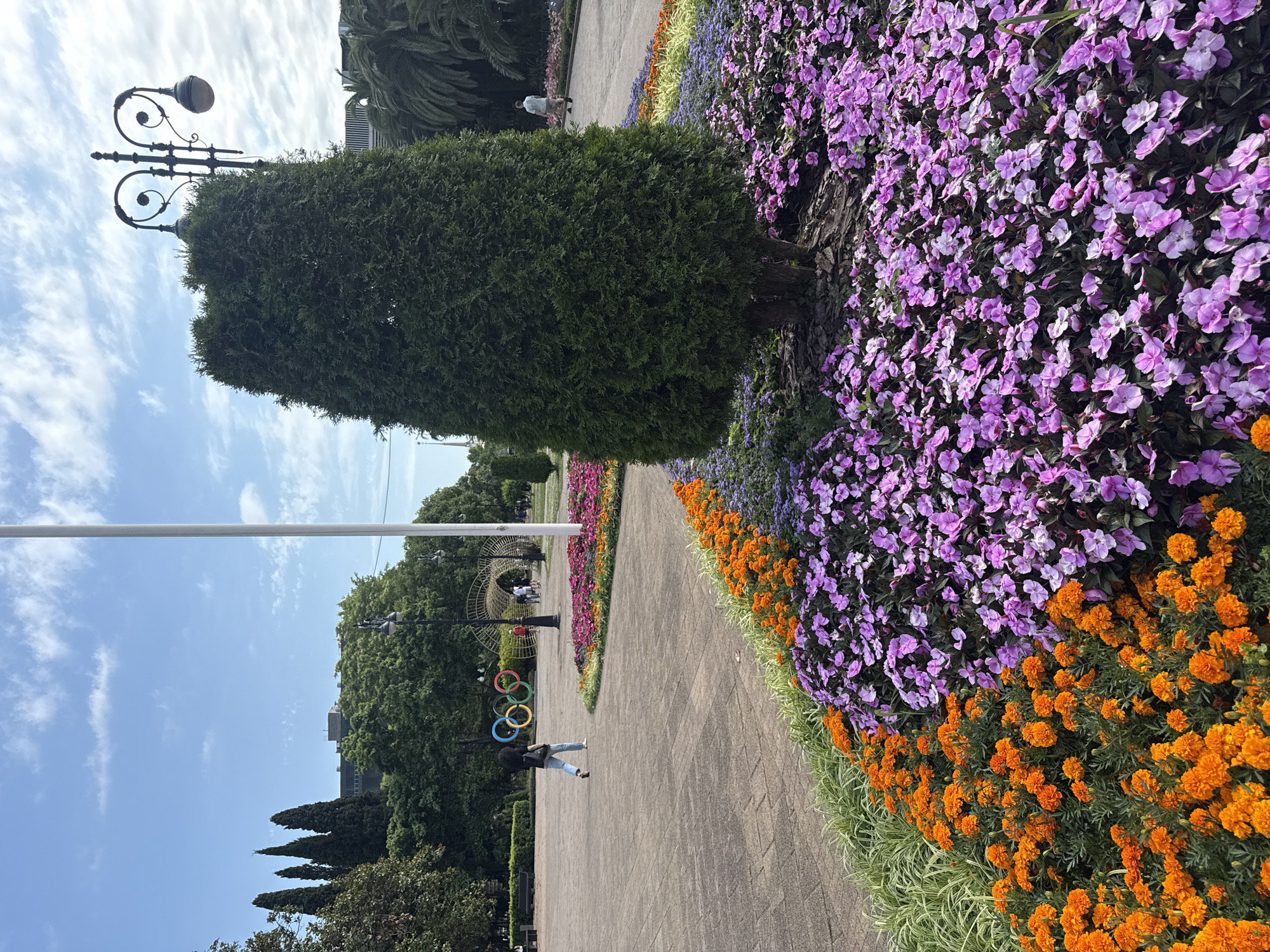 The image depicts a park scene with colorful flowerbeds and a paved pathway. A person is walking along the pathway, and further in the distance, there are more people. In the foreground, a conical evergreen tree stands next to a large bed of purple flowers, which is bordered by a vibrant orange flowerbed. The pathway curves through the park, leading towards a background with trees and buildings. A lamppost with a decorative design is visible near the evergreen tree. To the left of the pathway, the Olympic rings are displayed. The sky is partly cloudy, suggesting it is daytime. The location is identified as Sochi, Russia.