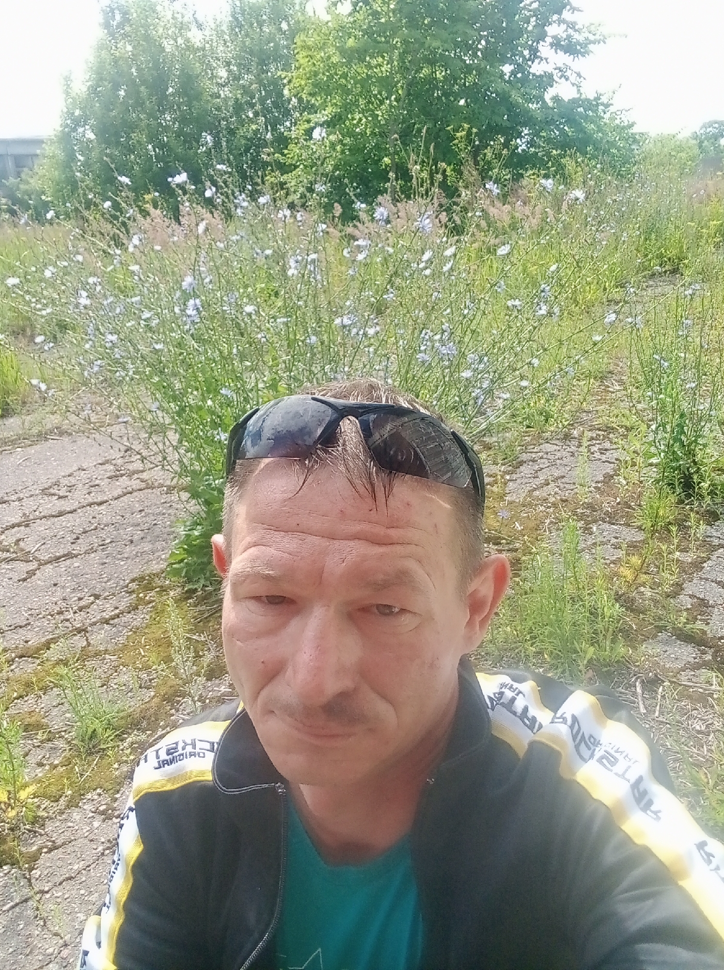 An outdoor, eye-level, close-up selfie captures a man with a shaved head and a light mustache from the chest up. He wears sunglasses perched on his head, a black and yellow track jacket over a turquoise t-shirt. The background features a dense growth of green trees and a field of small white and blue wildflowers, with a cracked asphalt path visible in the foreground. The lighting suggests a bright, sunny day.