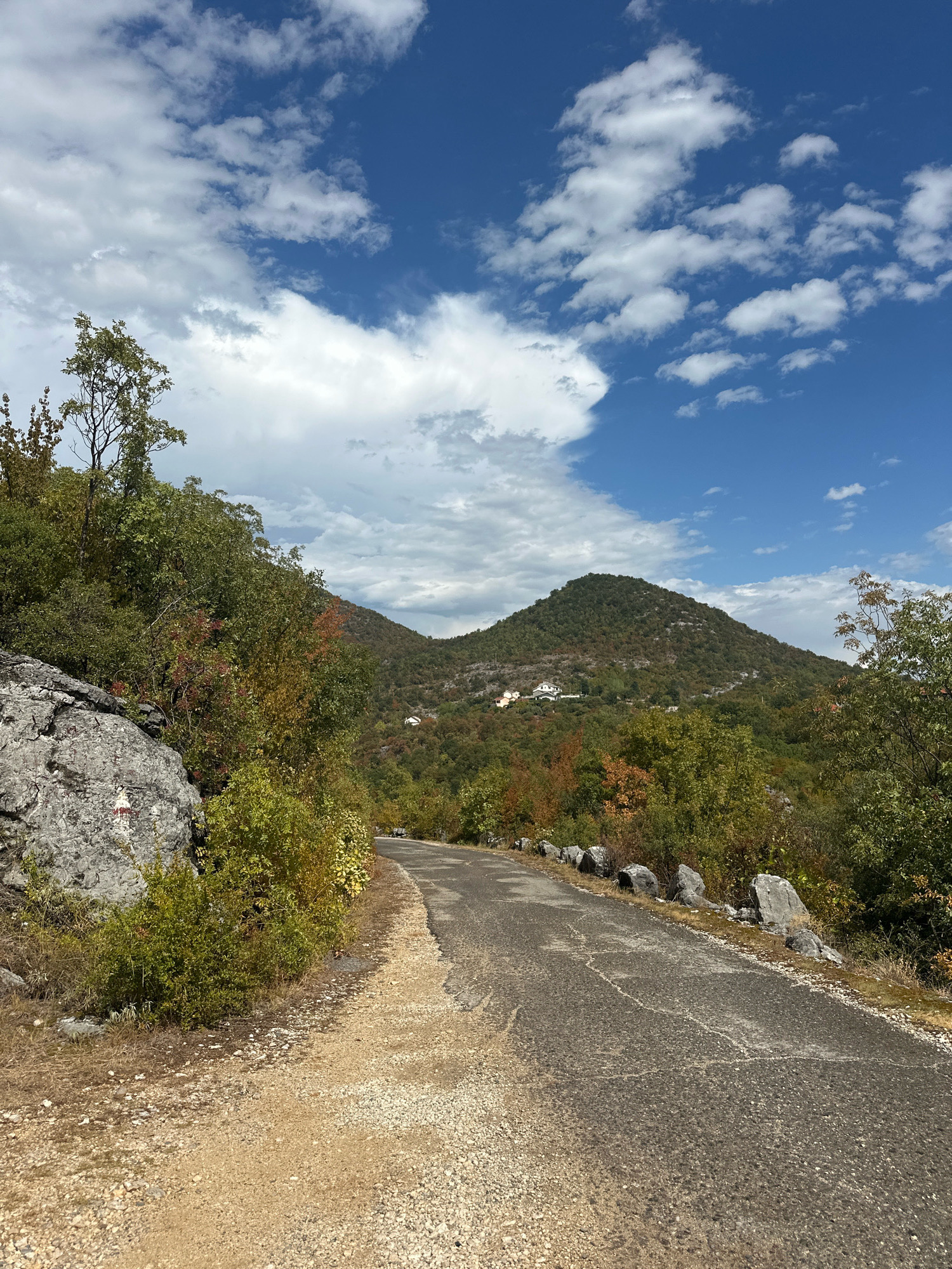 The image depicts a winding asphalt road in a mountainous, rural area, likely in or near the city of Cetinje, Montenegro. The road is bordered on the left by a rocky outcrop and dense green and autumnal foliage. To the right, the road continues into a landscape of rolling hills covered in trees, with some houses visible in the distance on the slopes of a prominent peak. The sky is a vibrant blue, dotted with fluffy white clouds. The overall impression is one of a scenic, undeveloped natural environment. There are no people or animals visible in the frame.