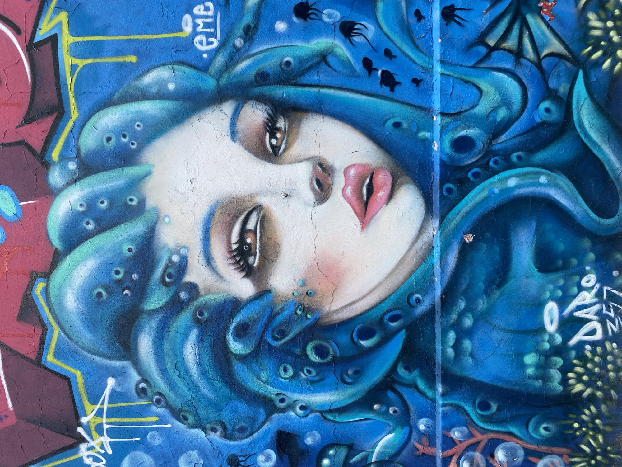 This is a photograph of street art depicting a woman's face surrounded by blue tentacles, likely representing Medusa or a similar mythological figure. The style is reminiscent of graffiti and murals, with vibrant colors and a somewhat distressed appearance due to the cracked surface of the wall.
The woman's face has a pale complexion with pronounced features like large eyes, arched eyebrows, and full lips. The tentacles are adorned with circles, possibly alluding to the suction cups of an octopus or the venomous nature of jellyfish.
Additional artistic elements such as fish silhouettes, bubbles, and what appears to be seaweed are incorporated, adding to the marine theme. The backdrop is a blue and brown mural with other graffiti elements, including lettering. Given the mention of Buenos Aires, Argentina, this street art is likely located within the city, potentially in a neighborhood known for its urban art scene like Palermo or San Telmo.