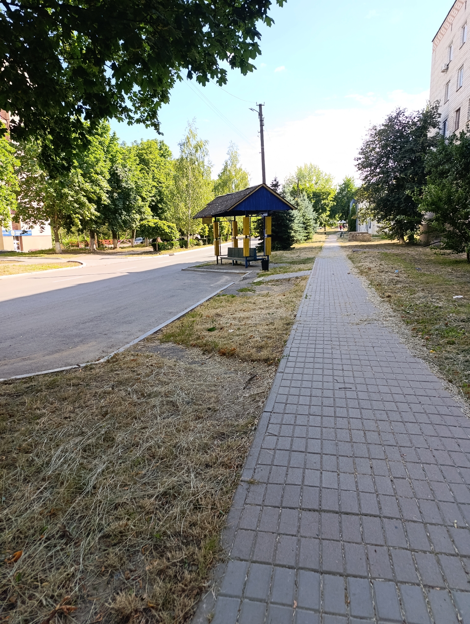 The image captures a public walkway in the city of Ladyzhyn, Ukraine, on a bright, sunny day. The scene is dominated by a paved sidewalk constructed from grey square tiles, which stretches into the distance. To the left of the sidewalk is a dry, grassy area with sparse vegetation. Beyond this, a paved road is visible, lined by trees and a building. A bus stop shelter with a blue roof and yellow supports stands near the road, with a bench and a trash can visible within it. Further into the background, more trees and buildings are present, and a few distant figures can be seen walking. The sky is clear blue with a few wispy clouds. The overall impression is one of a quiet, well-maintained urban environment.
