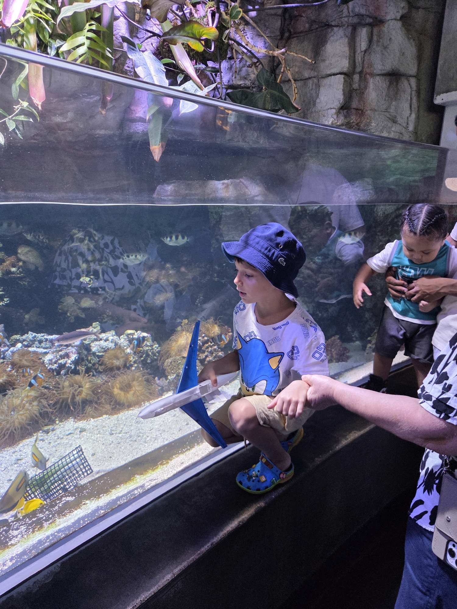 This image depicts two young boys at an aquarium exhibit in Long Beach, California. A boy in a blue hat and a white shirt with a cartoon character on it is holding a toy airplane. He is standing next to a person whose hand is visible, holding his hand. Another younger boy, wearing a teal and white tank top and dark shorts, is being held by an adult whose arm is visible. The boys are looking into a large aquarium filled with fish, anemones, and coral. The background shows rocky structures and lush green plants, typical of an aquarium environment. The lighting is dim, with the aquarium illuminated from within.