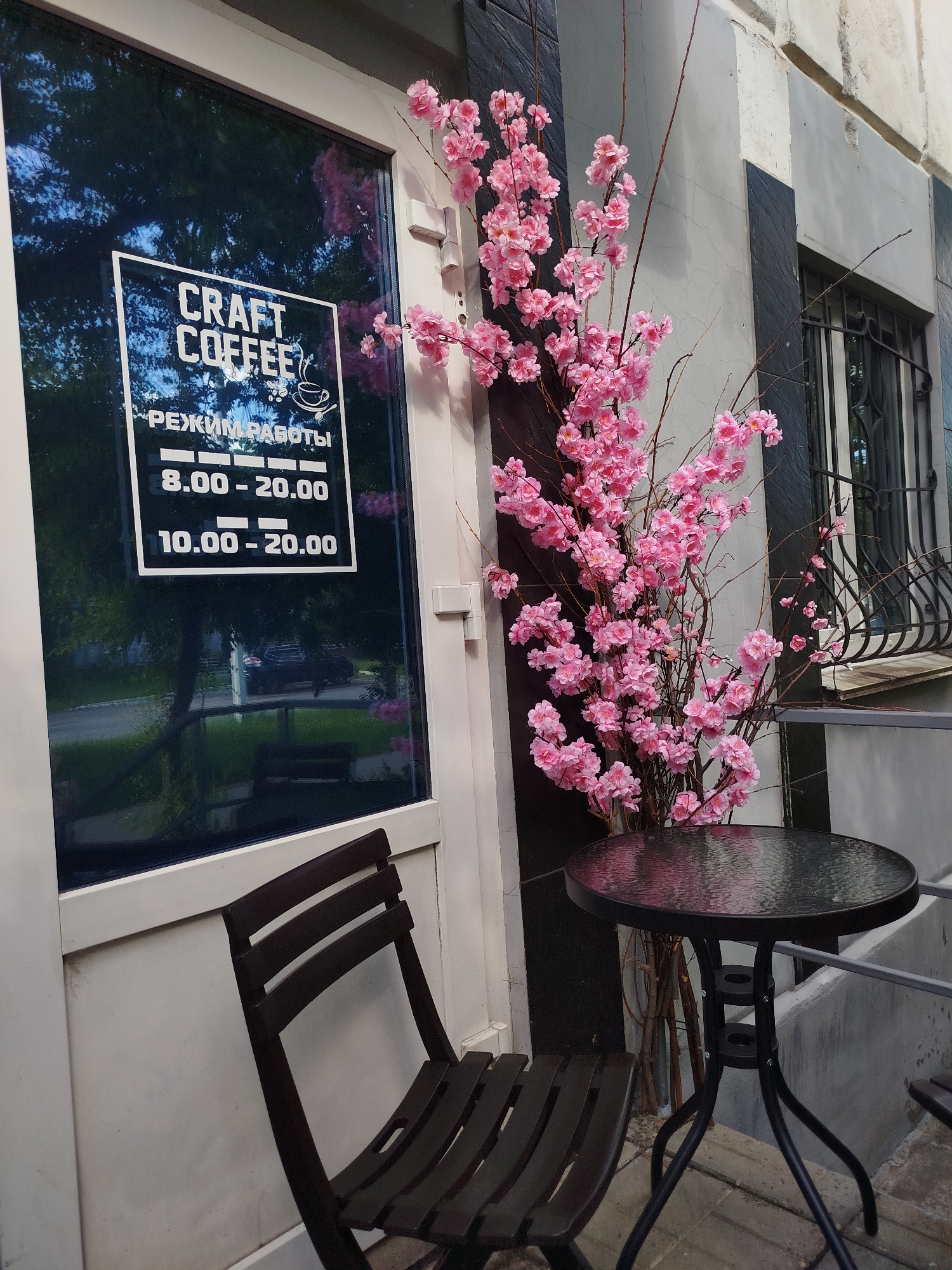 This is an outdoor shot of a cafe or shop entrance. The main subjects are a dark wooden chair and a small, round metal table with a glass top. Behind the table, a tall artificial arrangement of pink cherry blossoms on brown branches stands in a vase. The entrance itself is a glass door with a white frame. On the door, a sign displays the text "CRAFT COFFEE" in large white letters, with a smaller graphic of a coffee cup and saucer below it. Beneath this, in Russian, it says "РЕЖИМ РАБОТЫ" (working hours), followed by two time slots: "8.00 - 20.00" and "10.00 - 20.00".
The reflection in the glass door shows trees, a sidewalk, and a parked car, suggesting it is daytime and possibly a street-facing establishment. The lighting indicates it is likely daytime, possibly late morning or afternoon, with some sunlight casting shadows. The weather appears to be fair. The scene conveys a welcoming and perhaps slightly whimsical atmosphere due to the cherry blossom decor. The overall setting is urban or suburban, with a building facade that has a mix of dark and light grey textured panels. There is a window with bars visible to the right of the door.