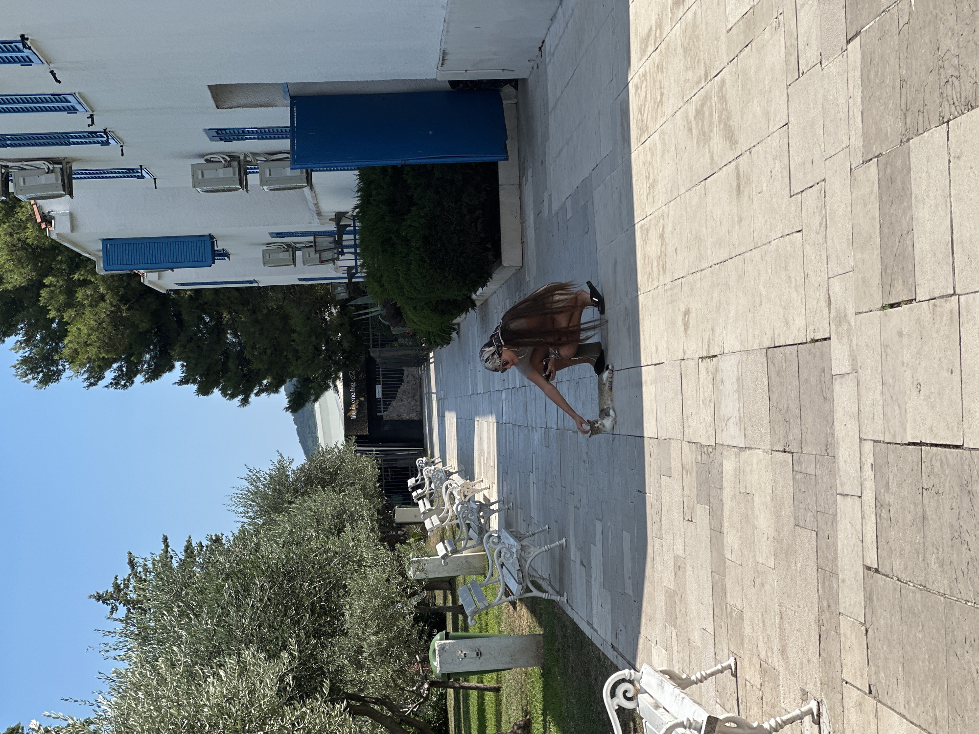 A person is interacting with a cat on a paved walkway. The person, with long brown hair and wearing sunglasses and a light-colored top, is crouched down, reaching out to the cat. The cat, which is mostly white with some grey markings, is also crouched and appears to be responding to the person's touch.
The setting is outdoors, with a building to the left and a paved area to the right, suggesting a public space like a promenade or a courtyard. The building is white with blue shutters and air conditioning units visible. Trees and greenery are present in the background, and several white benches are lined up along the walkway. The sun is shining, casting shadows on the pavement, indicating it is daytime. The sky is clear and blue. The scene appears calm and leisurely. There is no visible text in the image.