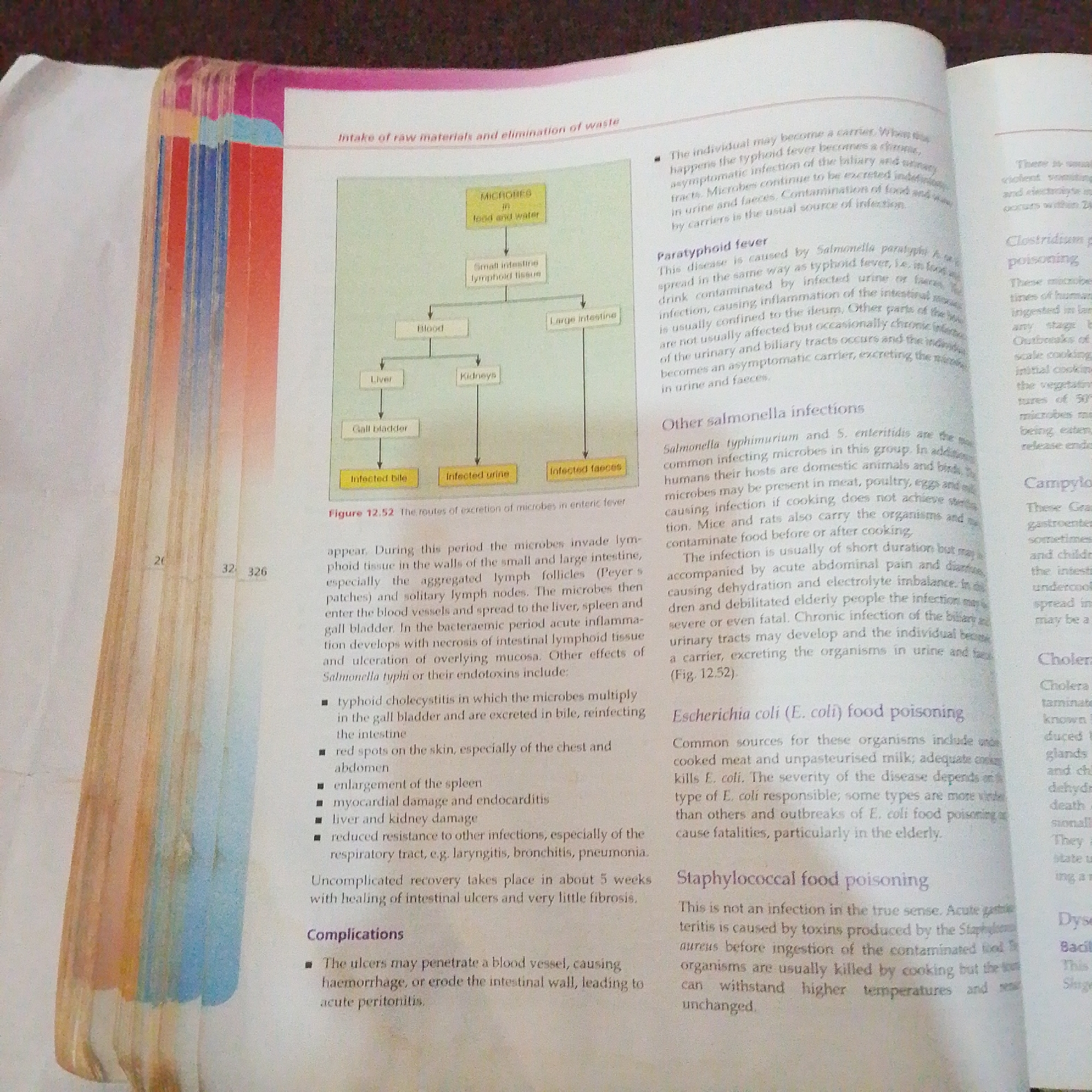 The image shows a page from a textbook discussing infectious diseases. The main content includes a diagram illustrating the routes of excretion of microbes in enteric fever, titled "Figure 12.52". The text discusses paratyphoid fever, other salmonella infections, Escherichia coli food poisoning, and staphylococcal food poisoning. There is no information in the image related to the city of Jalingo, Nigeria. The image is a close-up of a book with printed text and a diagram.