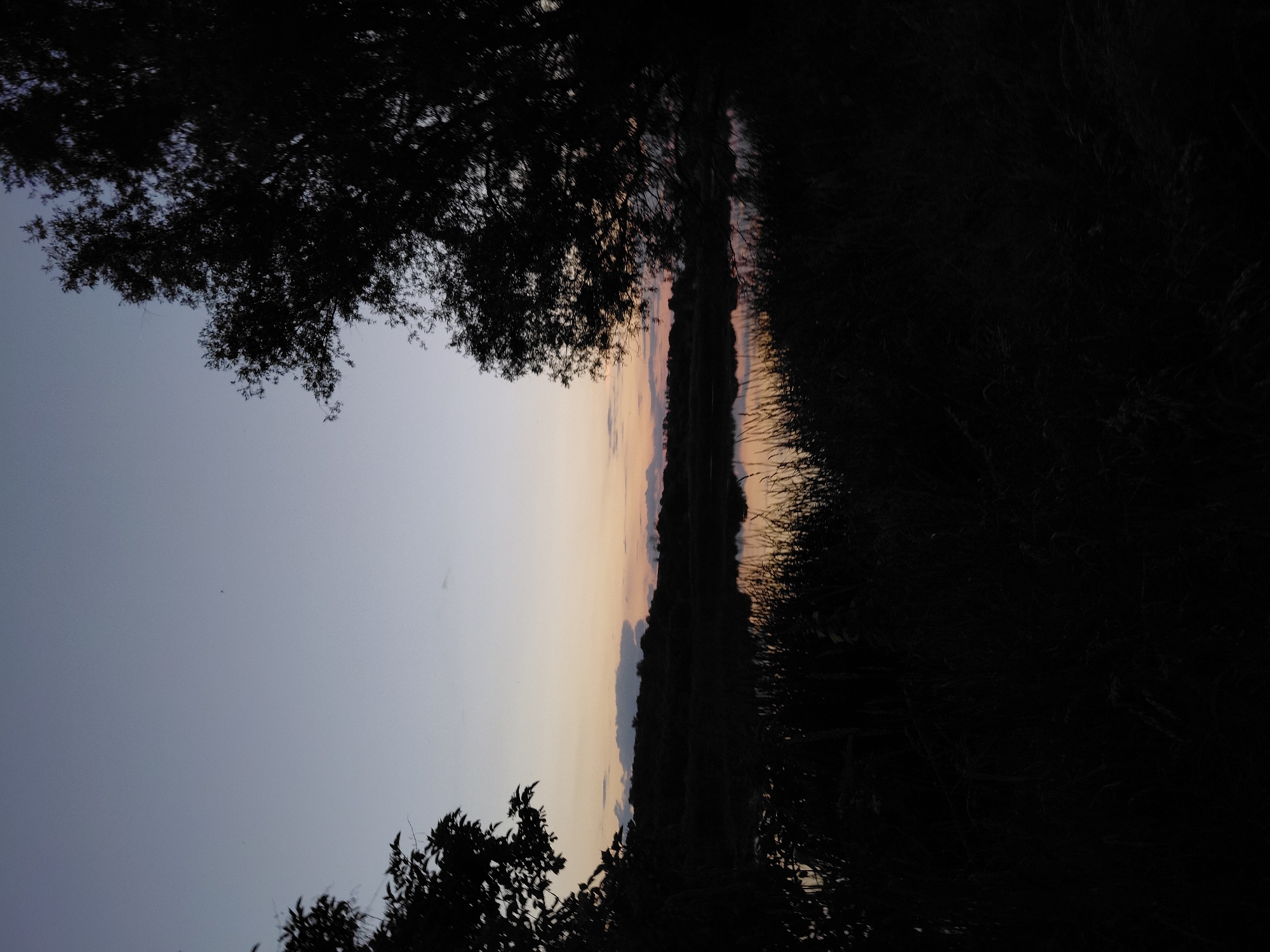 This image depicts a tranquil scene of a body of water reflecting the sky at dusk, likely in or around Ustyvytsia, Ukraine. The sky transitions from a pale blue at the top to softer hues of pink and orange closer to the horizon, with faint clouds present. Silhouetted against the sky are the dark shapes of trees on the left and right edges of the frame, as well as a line of trees or vegetation along the distant bank of the water. In the foreground, tall grass and other dark vegetation are visible, obscuring the lower portion of the scene and adding to the sense of depth. The water's surface is calm, creating a mirror-like reflection of the sky and the surrounding landscape. The overall atmosphere is serene and peaceful, characteristic of the twilight hours in a rural or natural setting. There are no people or discernible actions taking place within the image.