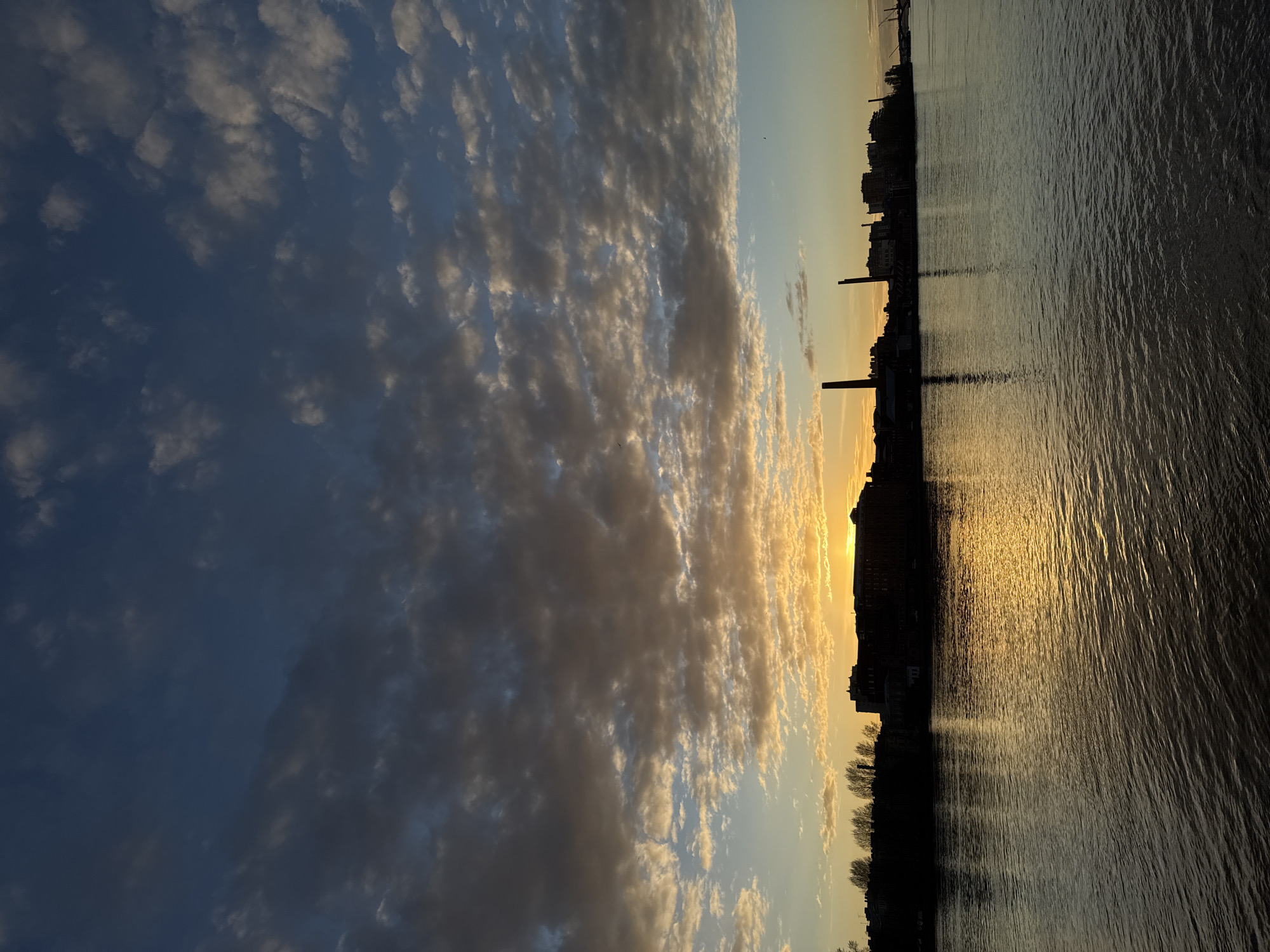 The image captures a serene panoramic view of a waterfront at either sunrise or sunset in Saint Petersburg, Russia. The scene is horizontally composed, with a dramatic sky dominating the upper portion, a silhouetted city skyline on the horizon, and a body of water occupying the lower part.
The expansive sky transitions from a deep, muted blue on the left, dotted with scattered white and grey clouds, to warmer golden and orange tones closer to the horizon on the right. A multitude of altocumulus or stratocumulus clouds stretch across the sky, brightly illuminated from below by the low sun, displaying rich hues of gold, soft orange, and grey, particularly in the central area.
The sun, mostly obscured by a distant building, casts a brilliant golden glow from the far right horizon. This intense light creates a broad, shimmering path of golden reflections across the rippled surface of the water, which appears dark blue-grey elsewhere. The water's texture shows numerous small waves or currents.
Along the distant bank, a dark, indistinct silhouette of a city skyline is visible. Various buildings, including several prominent industrial chimneys or smokestacks, rise sharply against the glowing sky. A line of bare trees is also discernible as a dark shape along the waterfront.
There are no people or specific activities visible, allowing the focus to remain on the interplay of natural light and the urban landscape. No text is present in the image. The overall impression is one of peacefulness and atmospheric beauty, characteristic of a tranquil evening or morning over the Neva River.