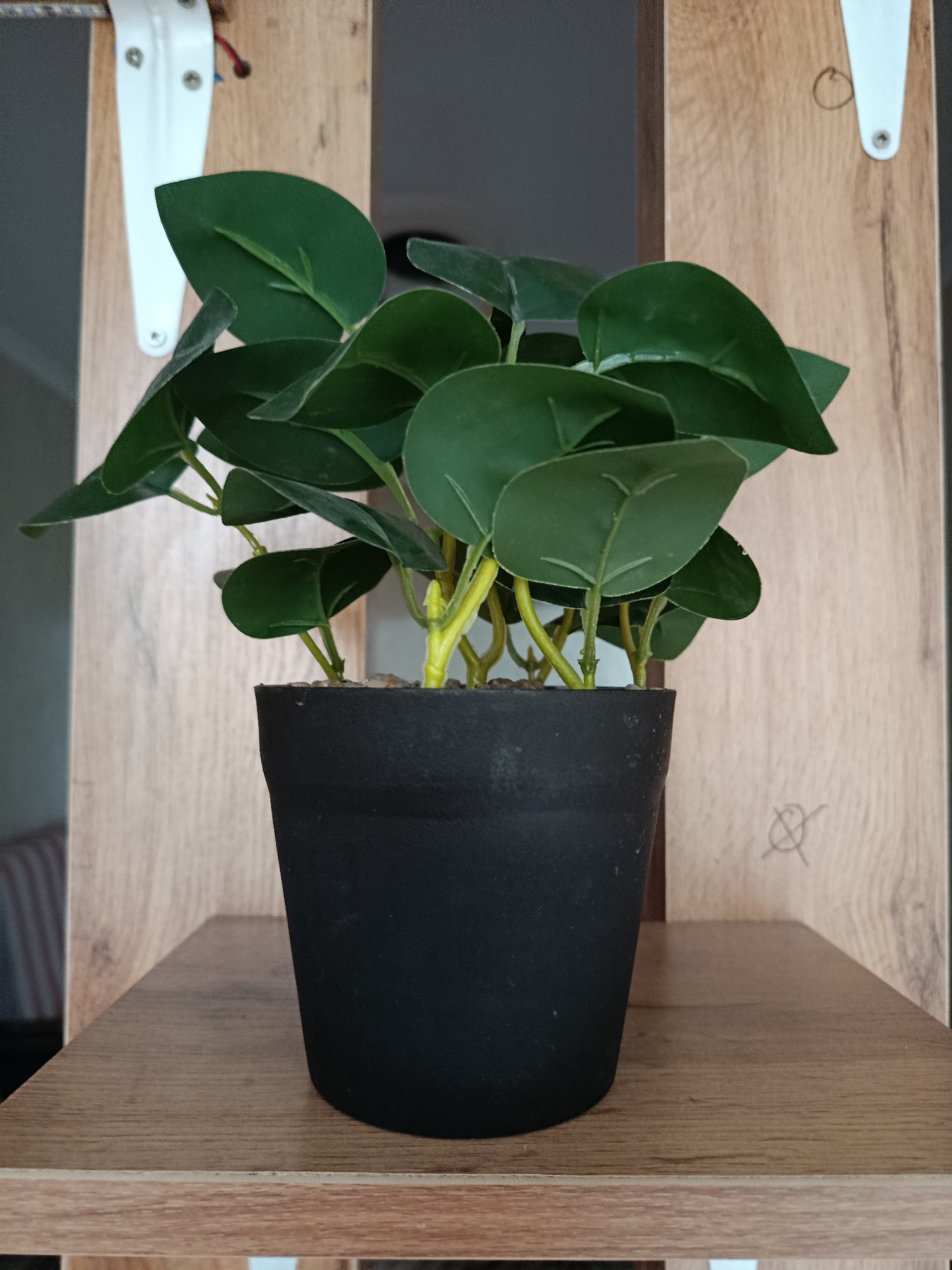 A close-up, eye-level shot shows a small, artificial potted plant with dark green leaves and yellow stems in a black pot. The plant is positioned on a light brown wooden shelf, with a wooden paneling background. The scene is indoors, and no specific city or country can be determined from the image. There are no people or animals present. The lighting is even, and the focus is on the plant.